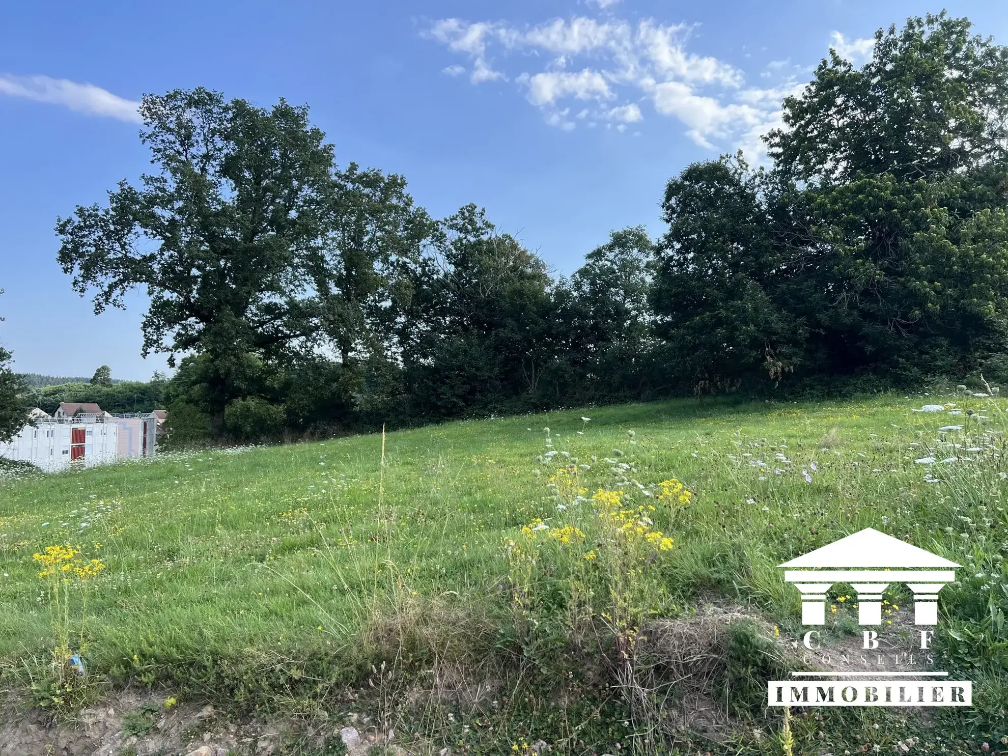 Terrain constructible de 937 m² à Saint-Sernin-du-Bois - Idéal pour votre maison familiale