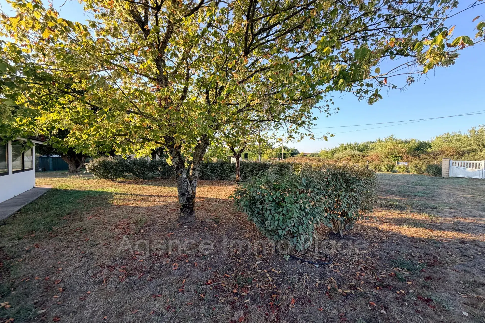 Achat maison plain-pied à Vensac avec jardin arboré de 2300 m² 