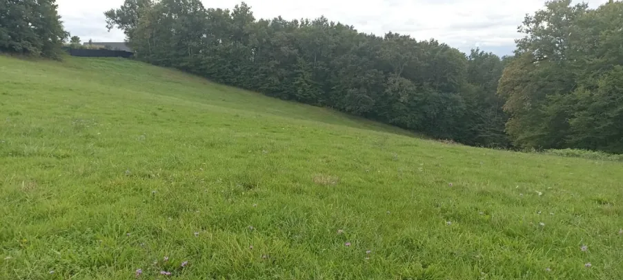 Terrain constructible à Dampniat de 5 260 m² avec division possible