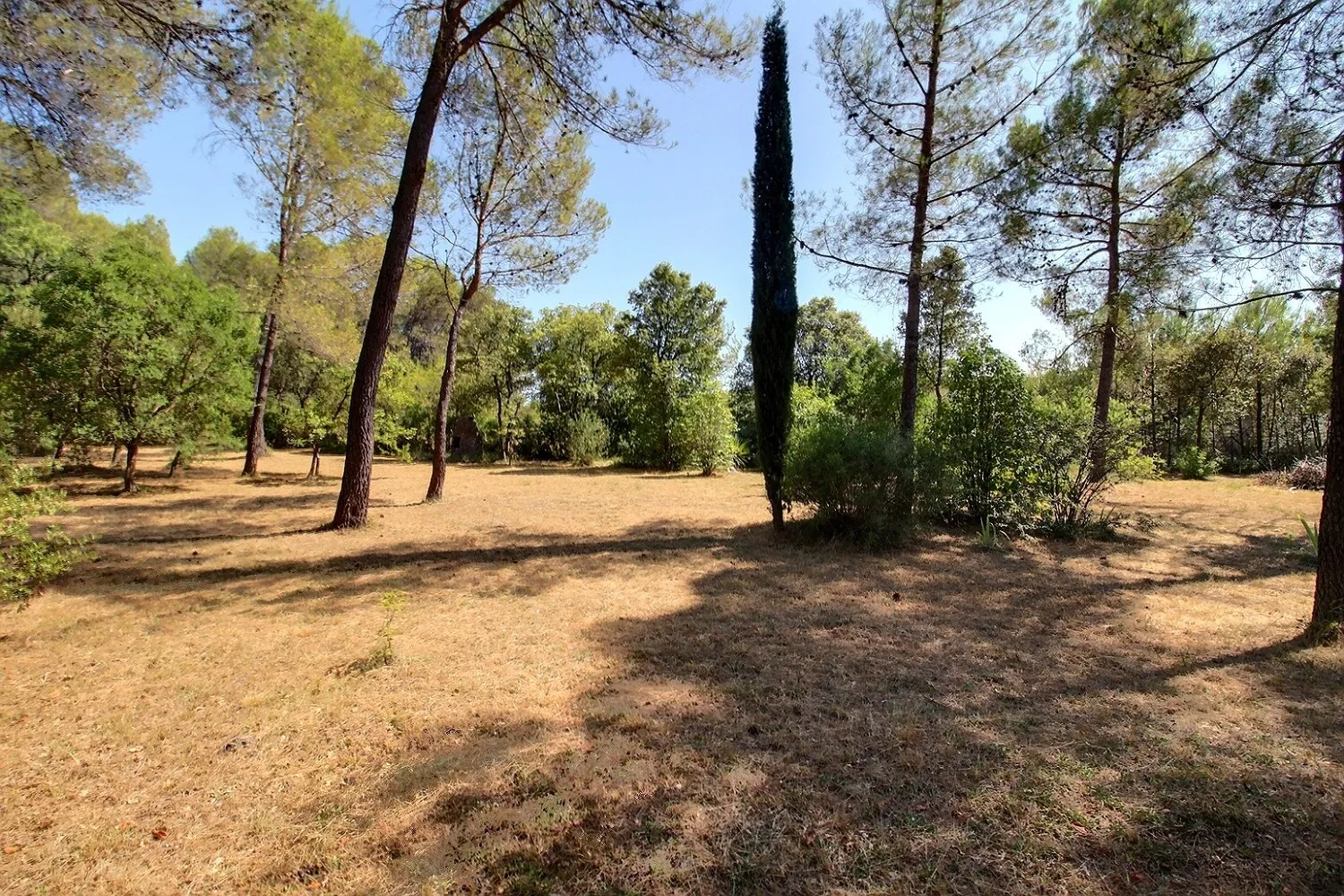 Terrain de Loisir de 2 288 m² à Saint-Clet de Riviere en Zone Agricole