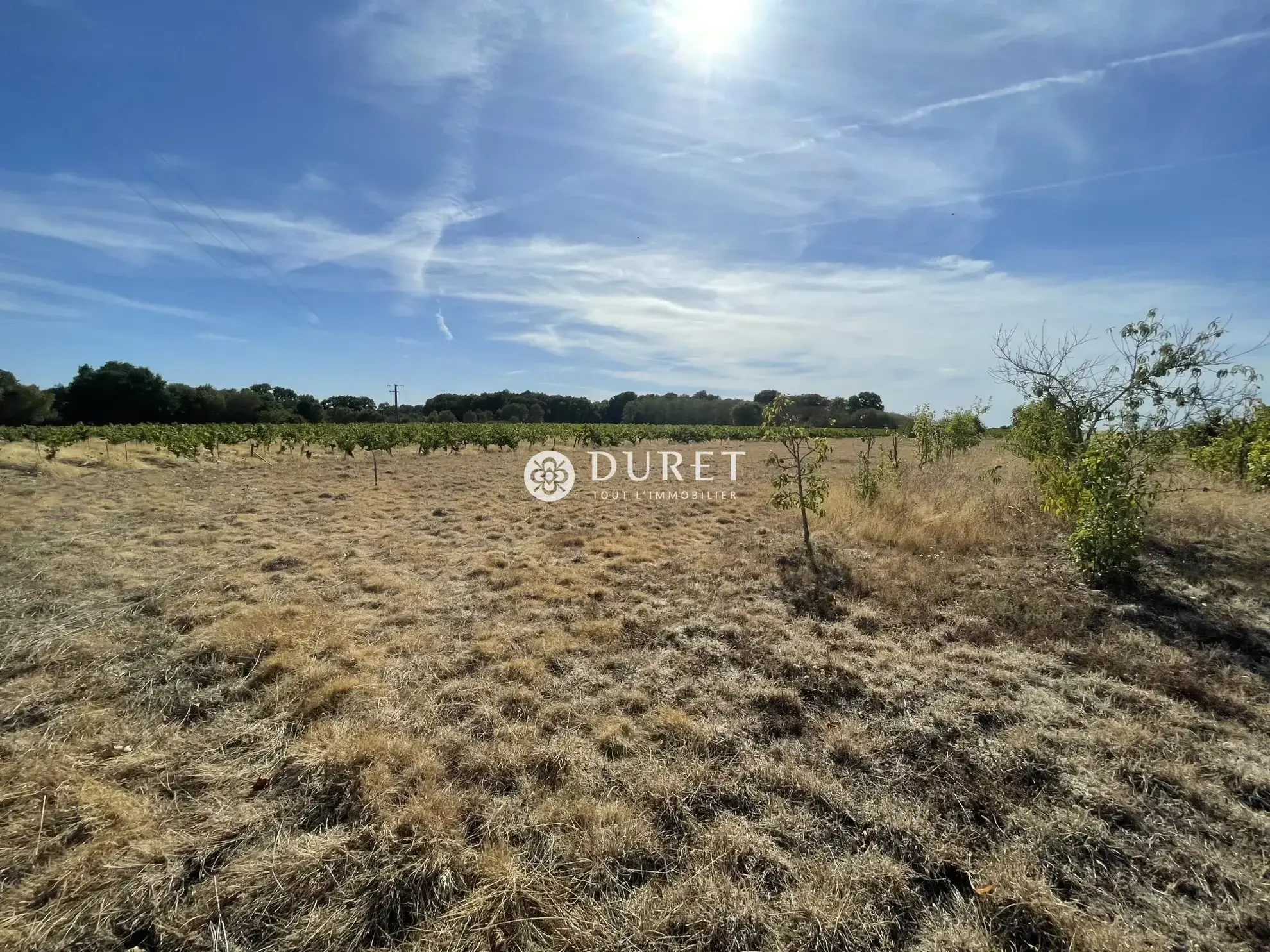 Terrains constructibles à vendre à Maisdon-sur-Sèvre dans le vignoble nantais