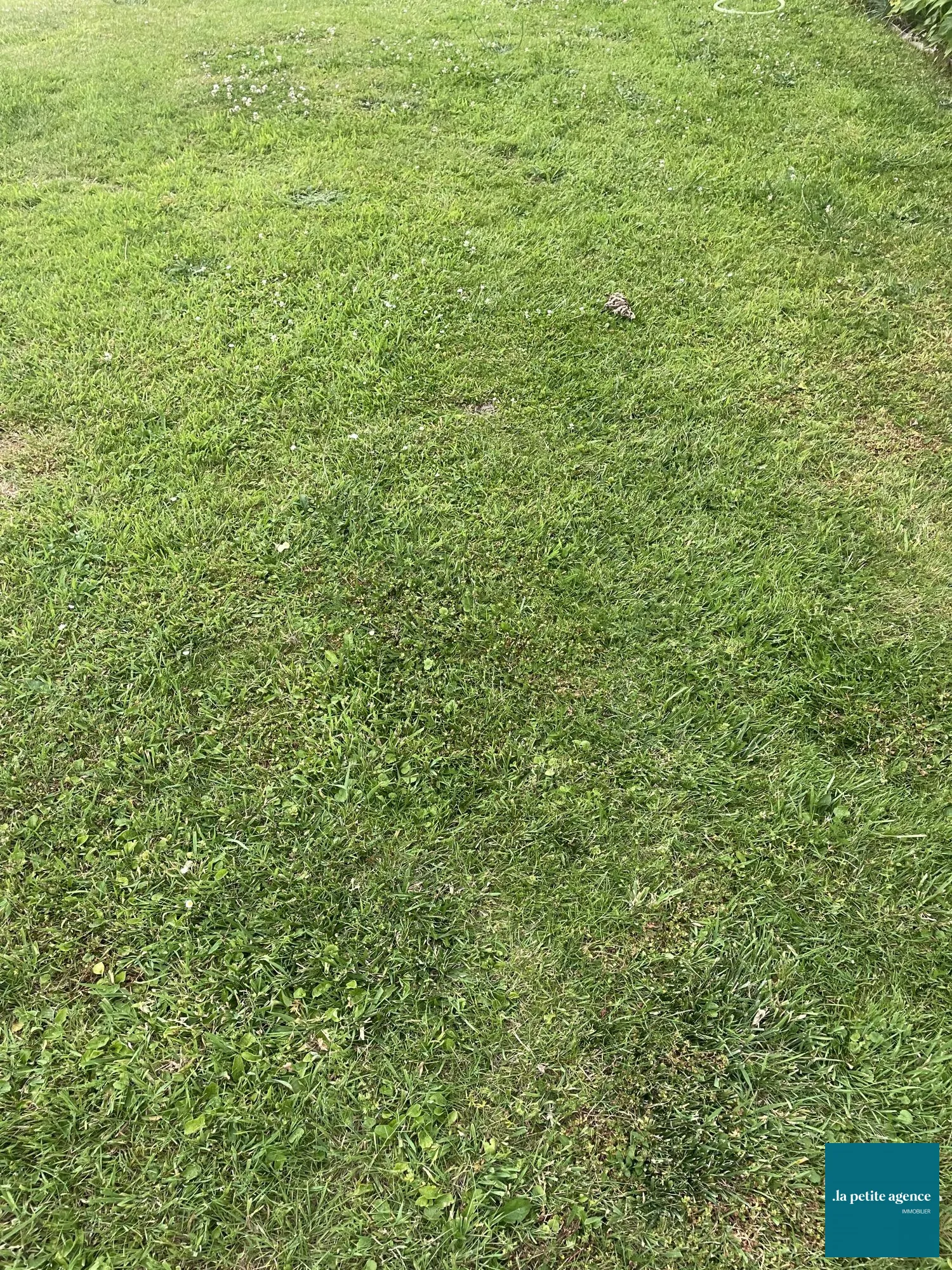 Terrain constructible à Saint Aubin d'Arquenay de 633 m² – Opportunité à saisir