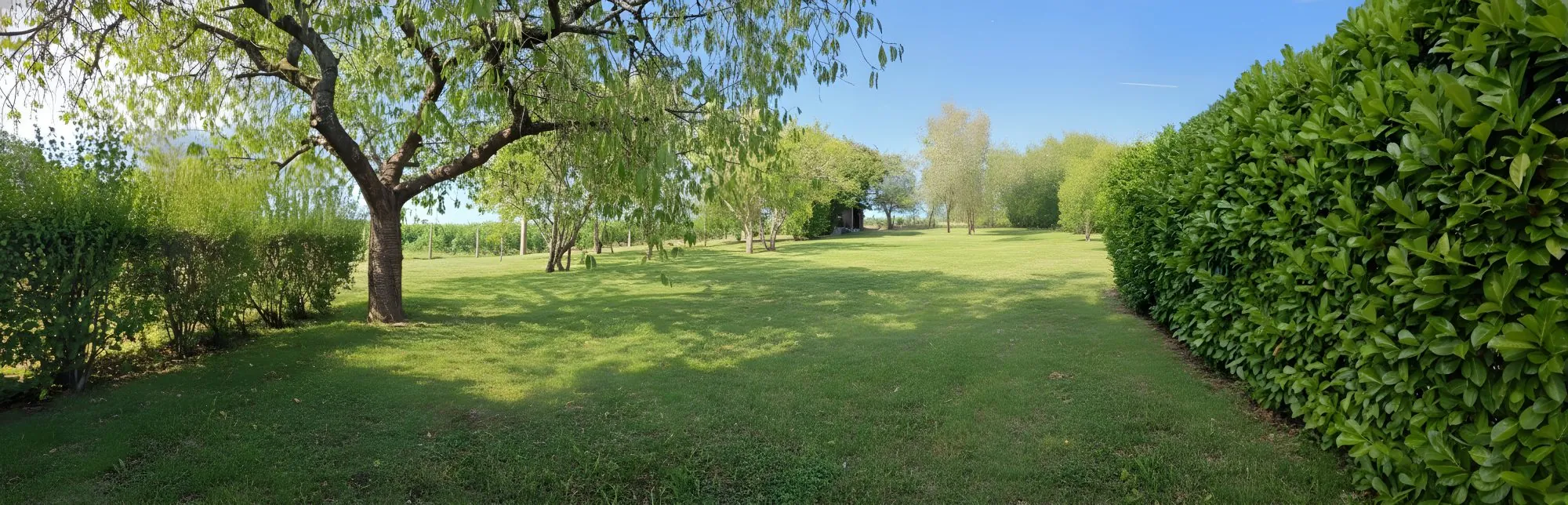 Terrain arboré avec vue sur vignobles à Vernou-sur-Brenne - Calme et sérénité