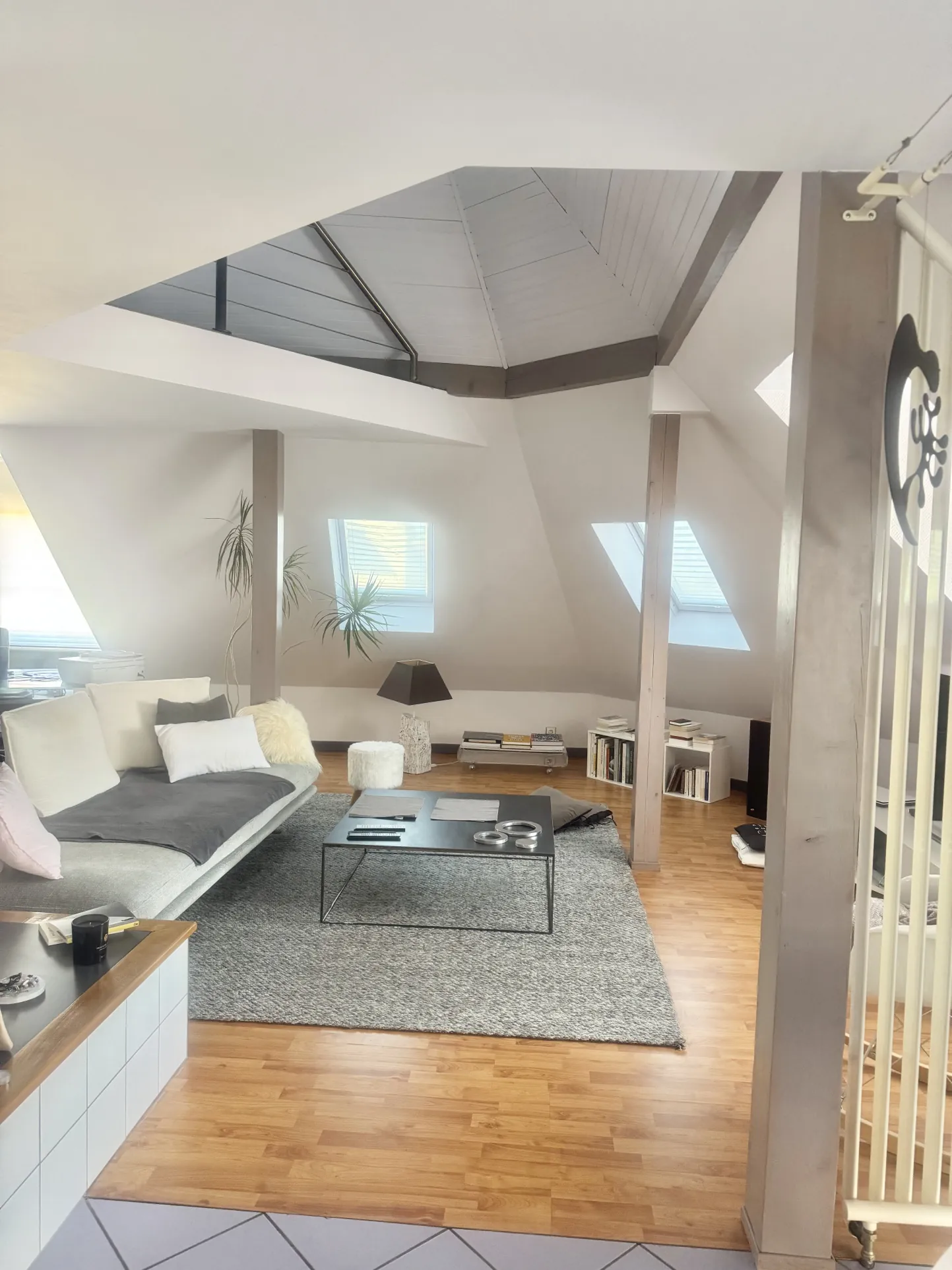 Appartement duplex atypique à Mulhouse au cœur de la ville