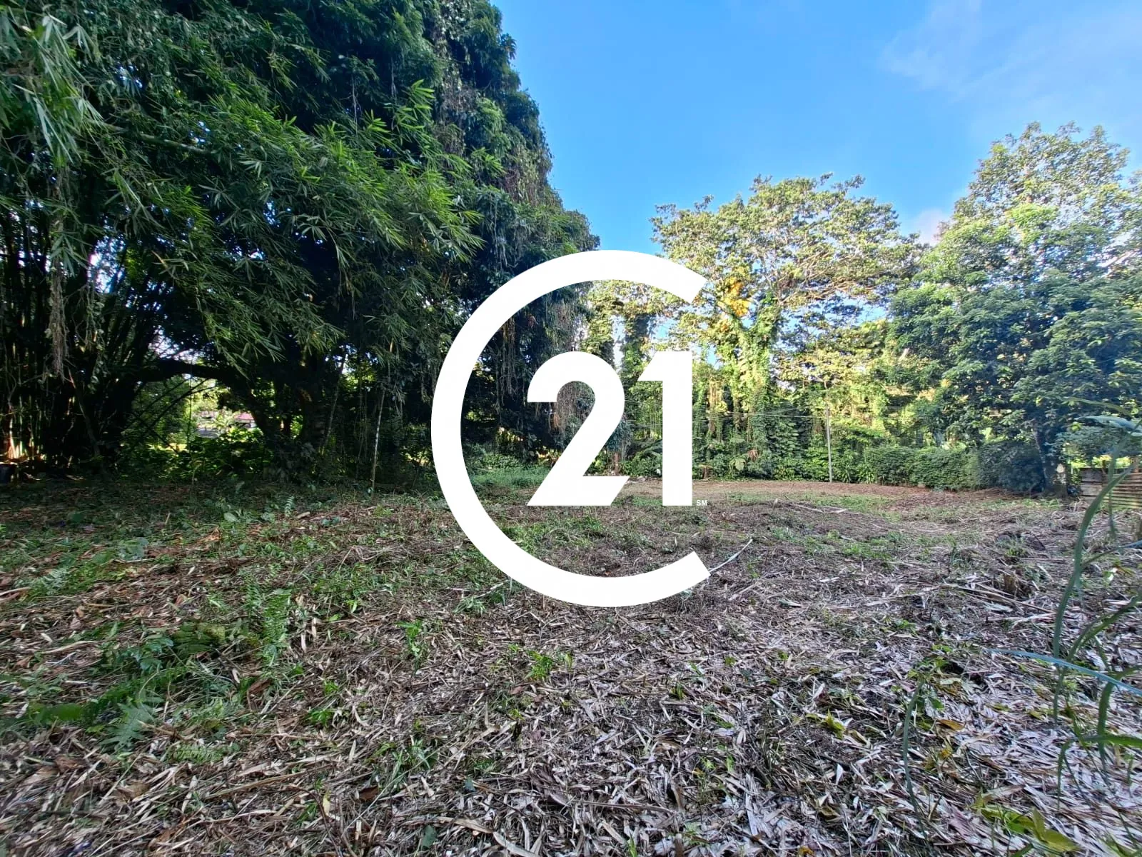 Terrain constructible de 937 m² à Ajoupa-Bouillon en Martinique