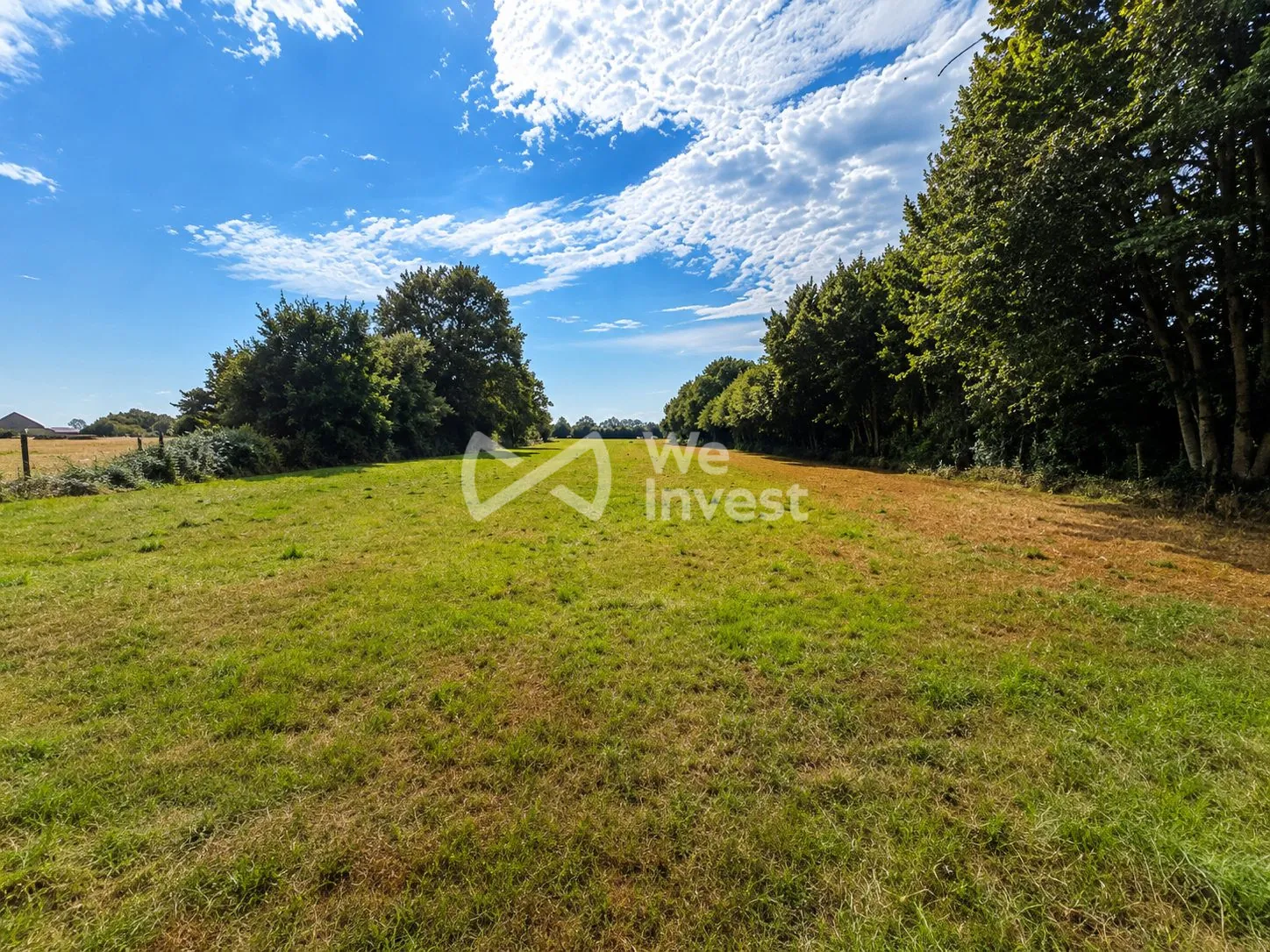 Terrain constructible de 700 m² avec plus d'un hectare pour installation animale à Regniowez
