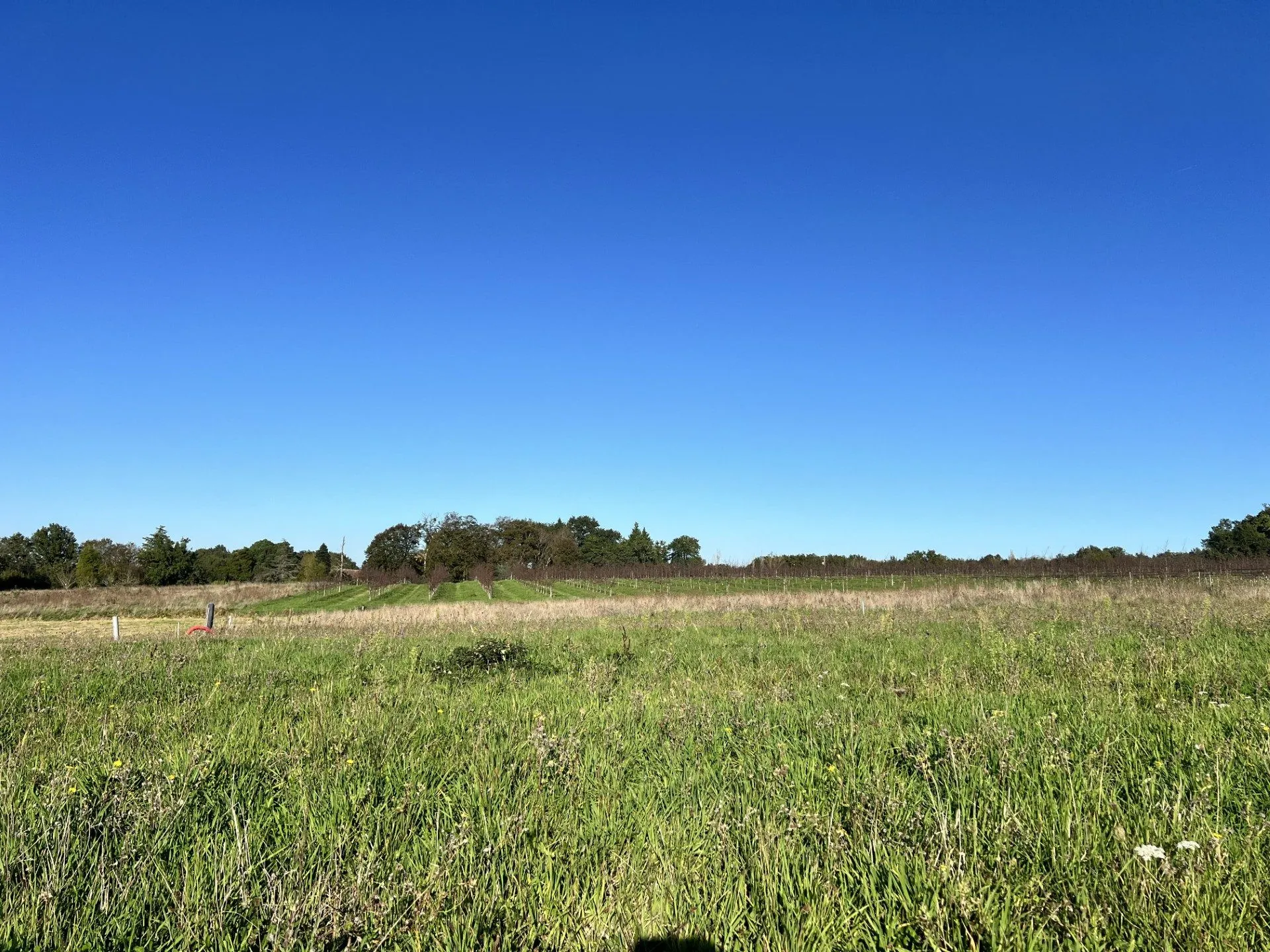 Terrain constructible à vendre à Saint Nexans, proximité Bergerac