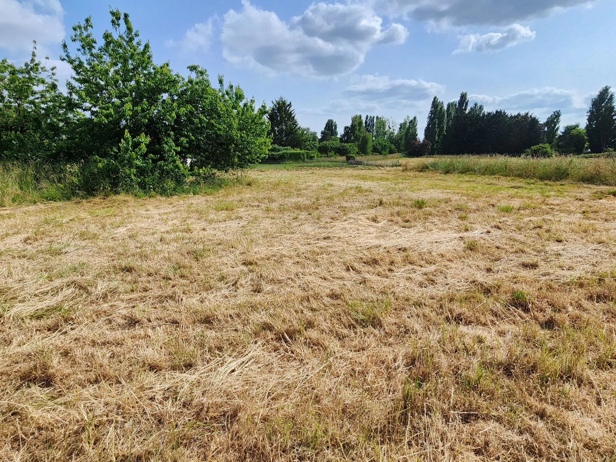 Terrain à vendre à Saint-Julien-L'Ars - 1241 m² constructibles et viabilisés