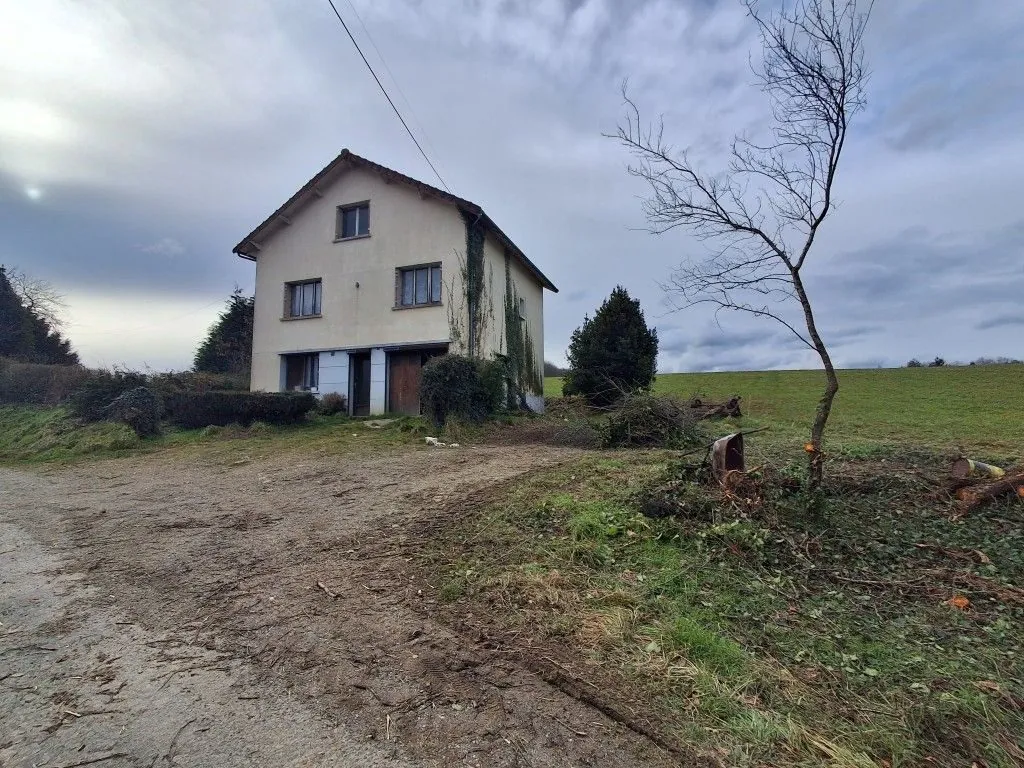 Maison à vendre à Châteauneuf-la-Forêt - 4 pièces, 1776 m²