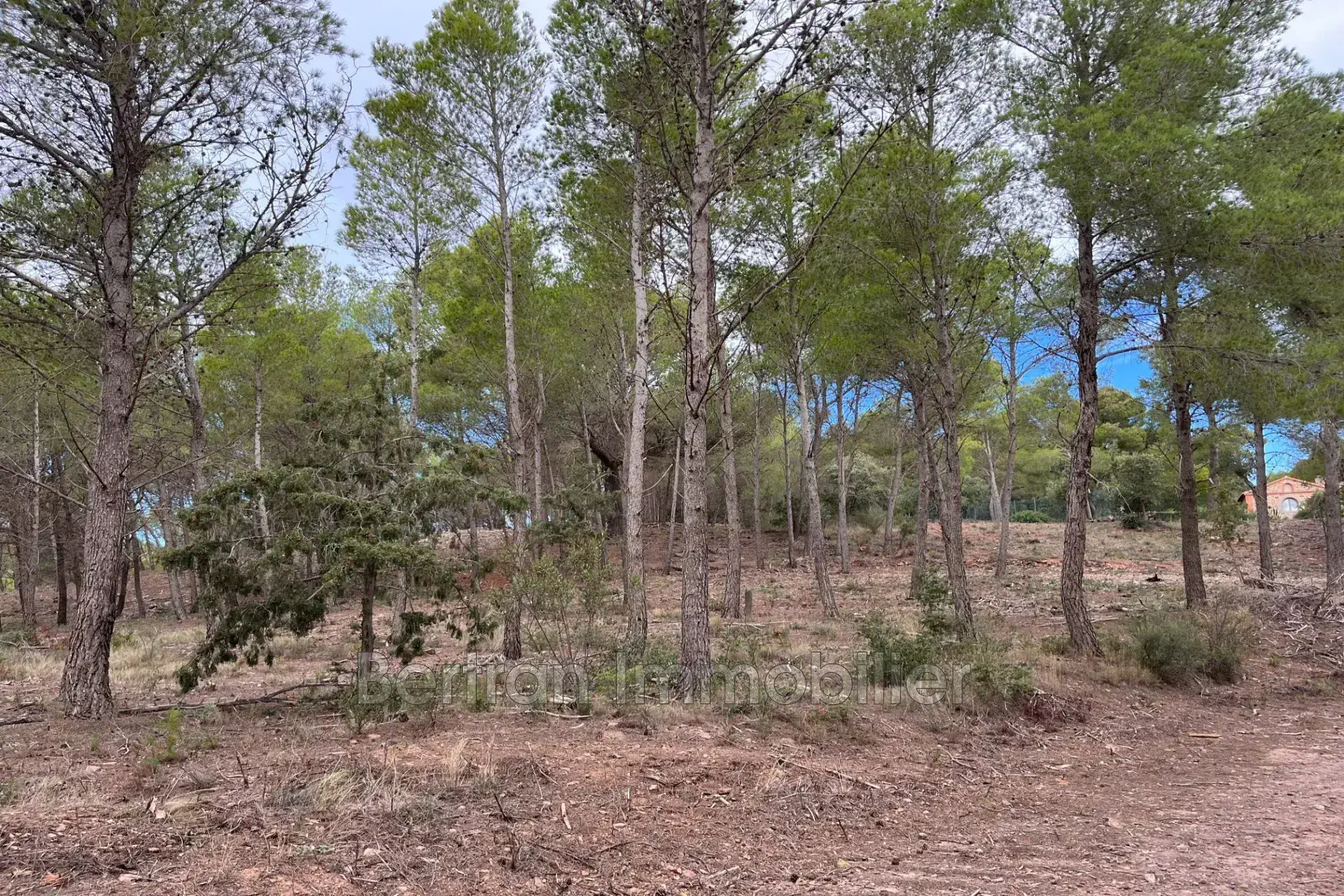 Terrain non constructible à vendre à Espira-de-l'Agly - 3689 m² dans le Domaine de Montpins