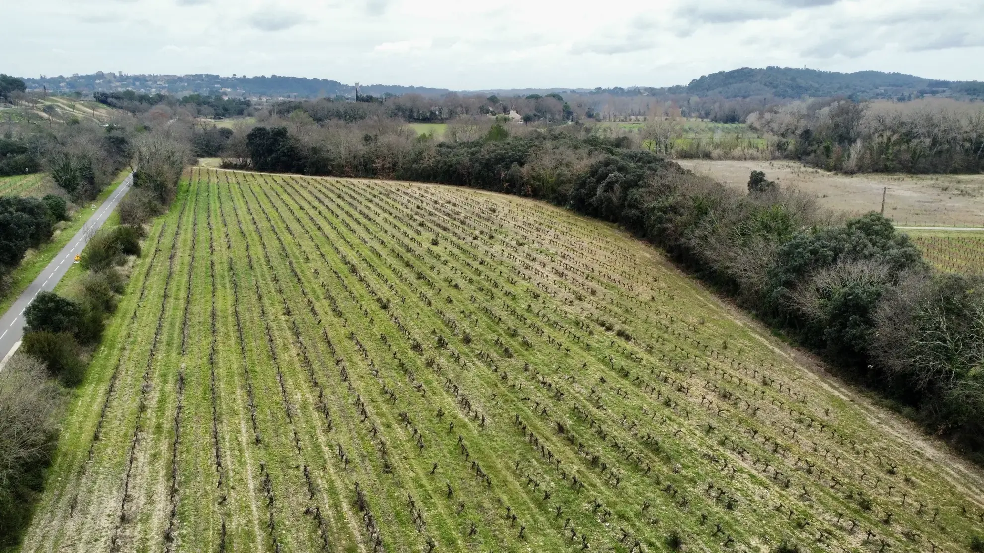 Achat terrain agricole avec hangar à Salinelles (30250) - 86 m² et 57 540 m²