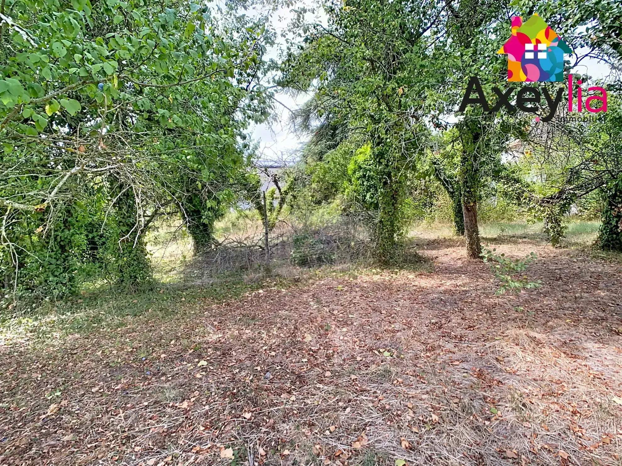 Terrain constructible à Panissières de 766 m² hors lotissement prêt à bâtir