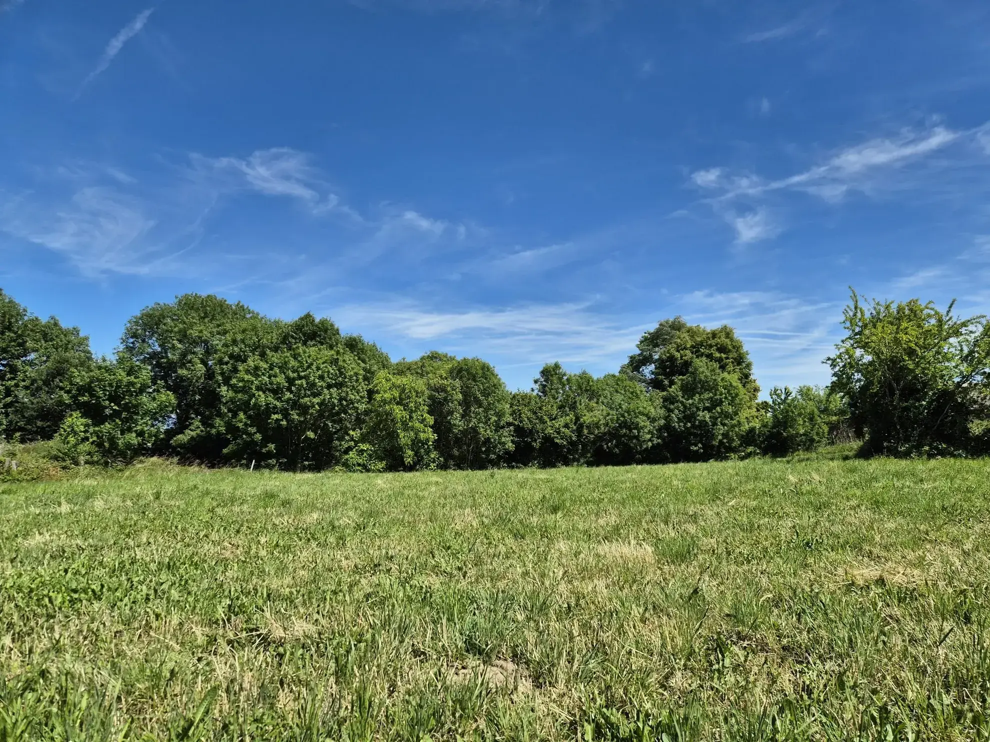 Terrain constructible de 2761 m² à Moyrazès - Emplacement privilégié