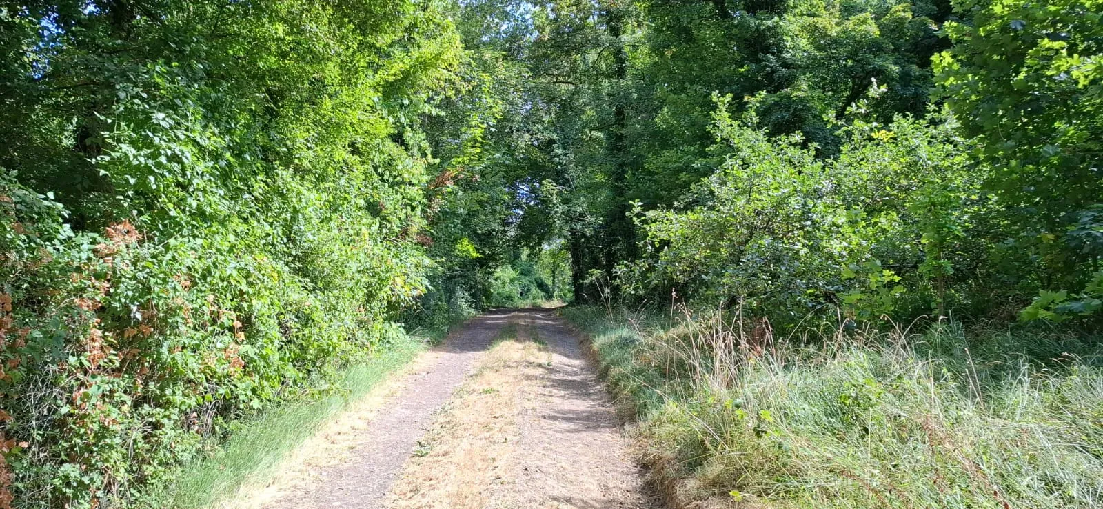 Terrain boisé de 380 m² à Quincy Voisins, non constructible