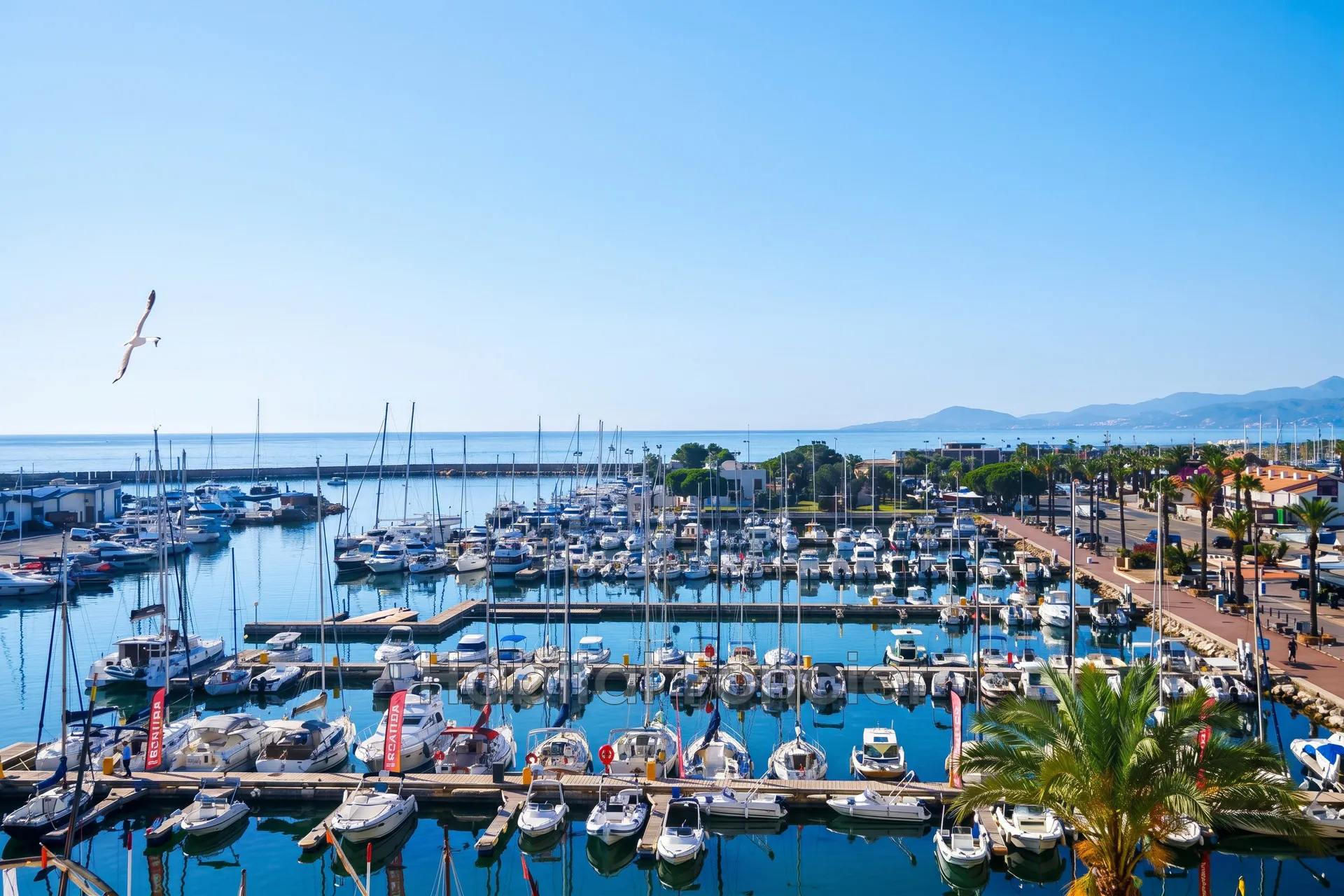 Appartement traversant vue mer à Saint Cyprien - 50 m² avec terrasse et parking