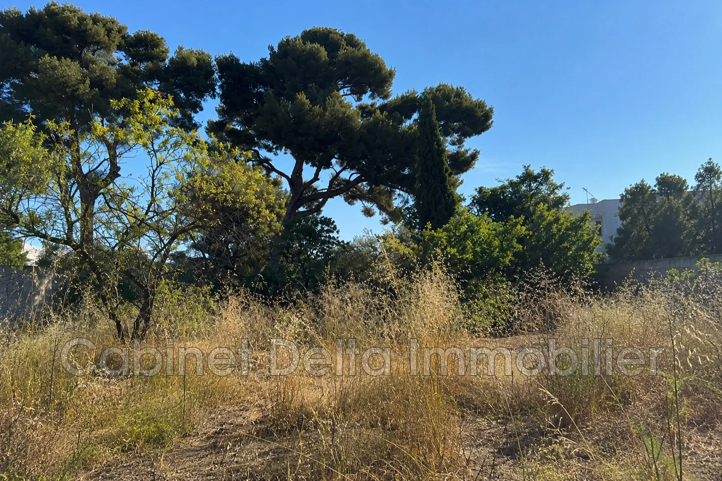 Terrains viabilisés à vendre à Toulon - Quartier Valbertrand