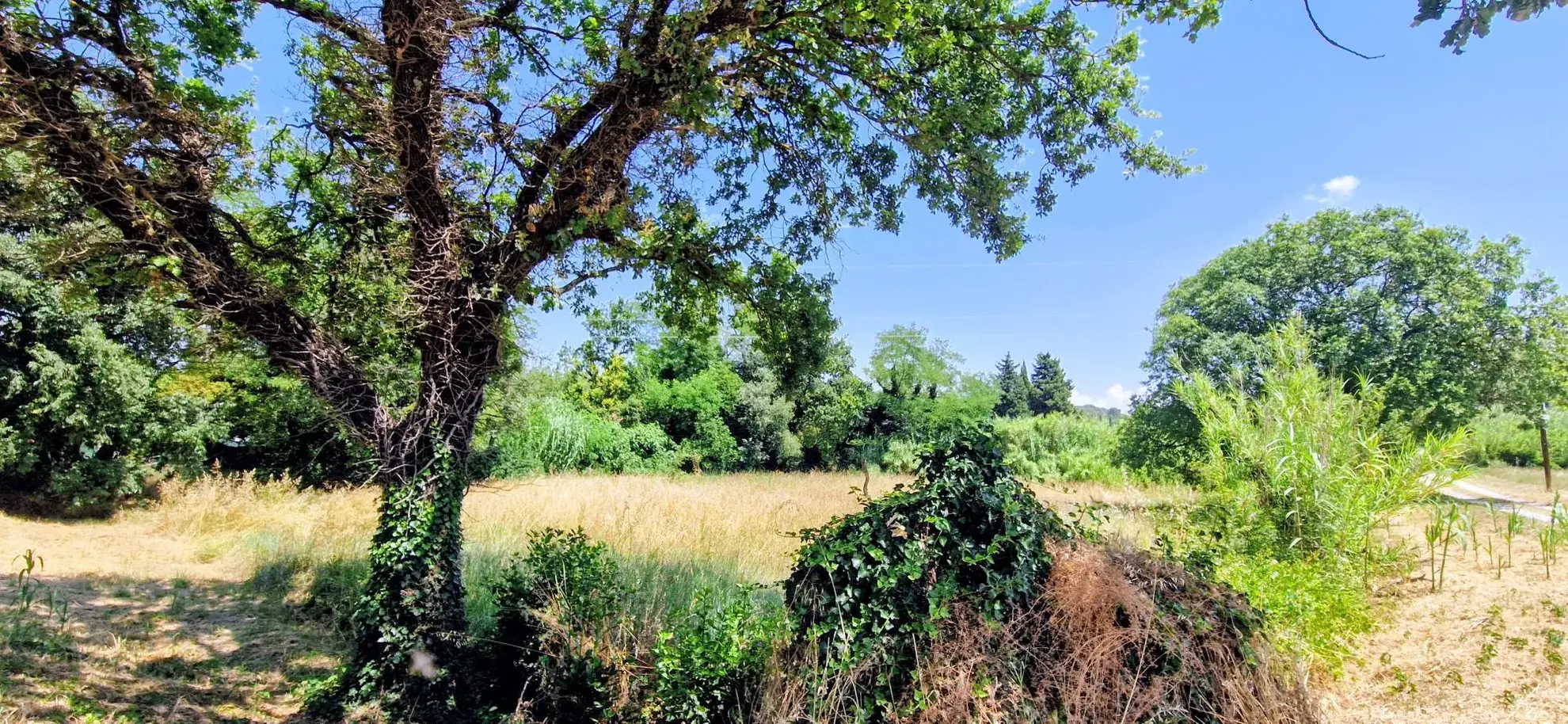 Terrain constructible de 2135 m² à Bollène, environnement paisible