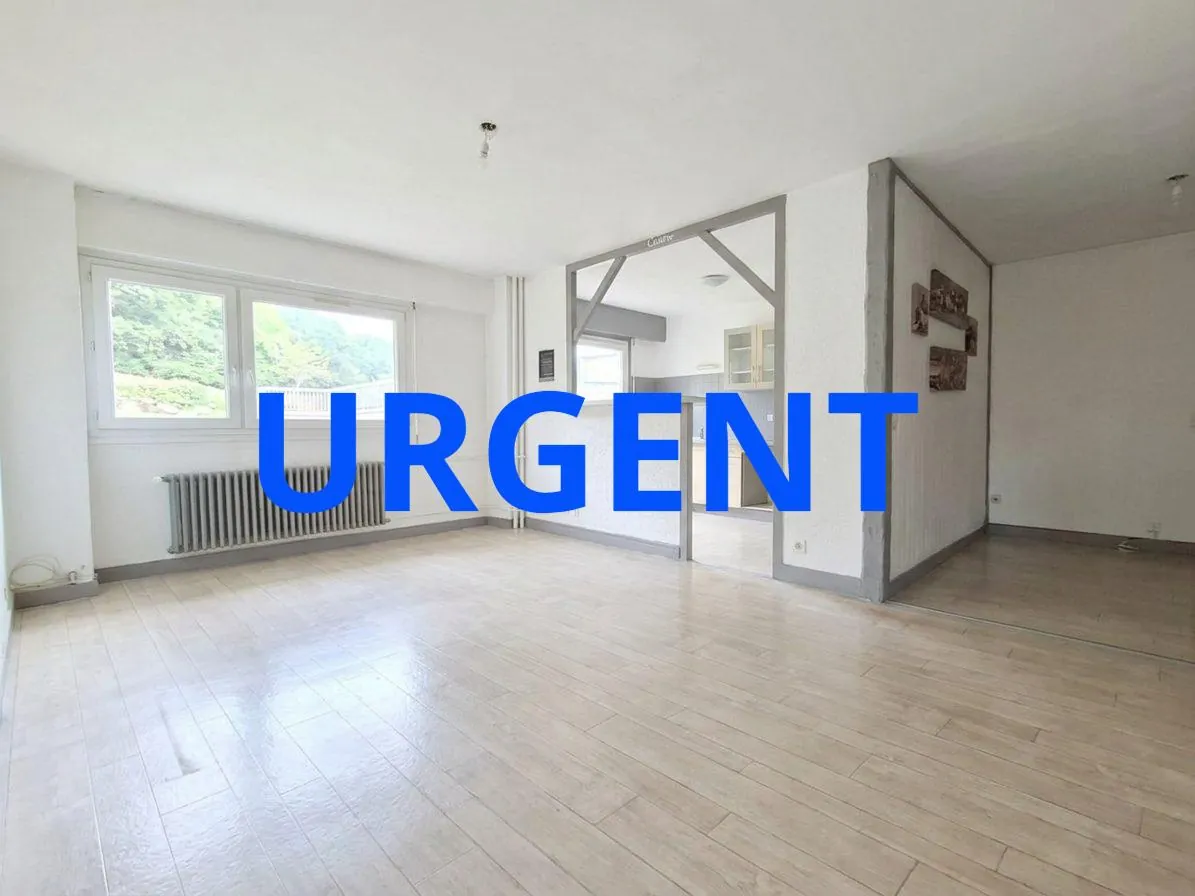 Appartement T3 à vendre à Saint-Priest-en-Jarez avec fort potentiel et prestations modernes