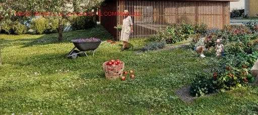 Appartement T3 avec jardin et terrasse à Sourcieux-les-Mines – Livraison 2028