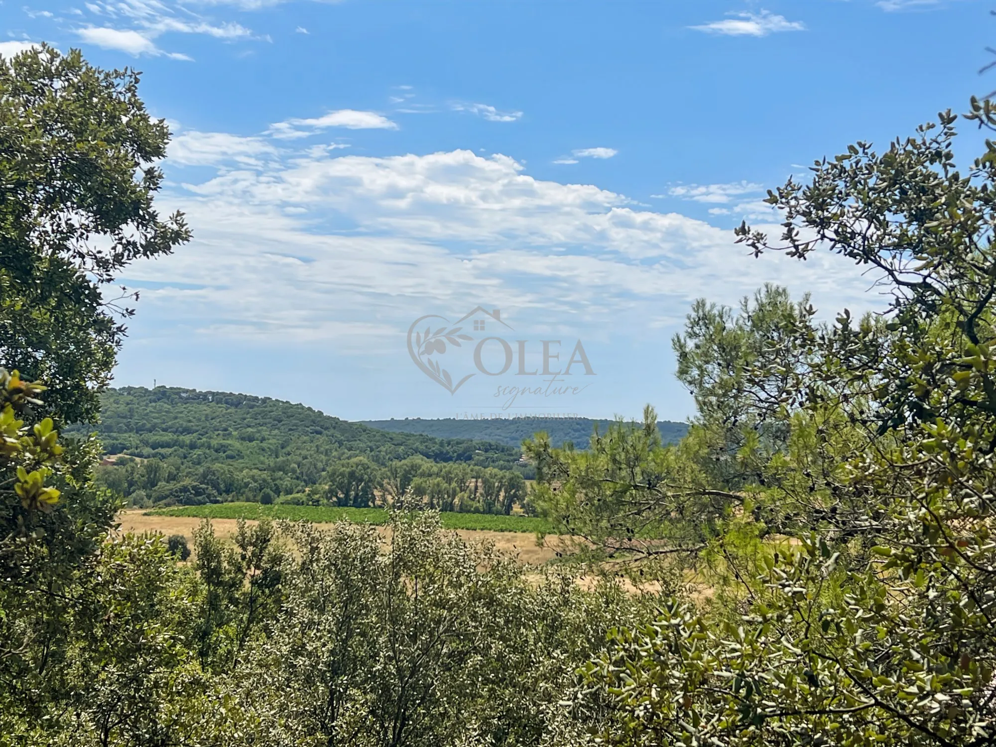 Terrain constructible de 6000 m² à Serviers-et-Labaume proche d'Uzès