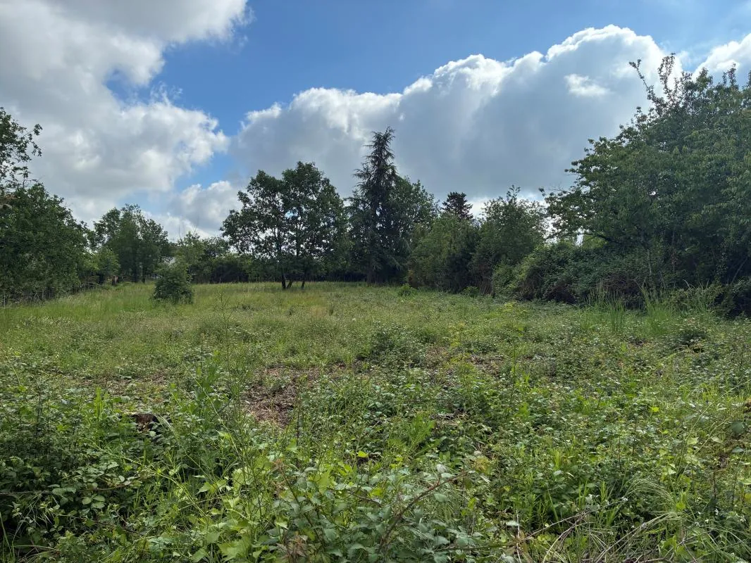 Terrain à bâtir de 1300 m² à Albi - Emplacement rare et idéal