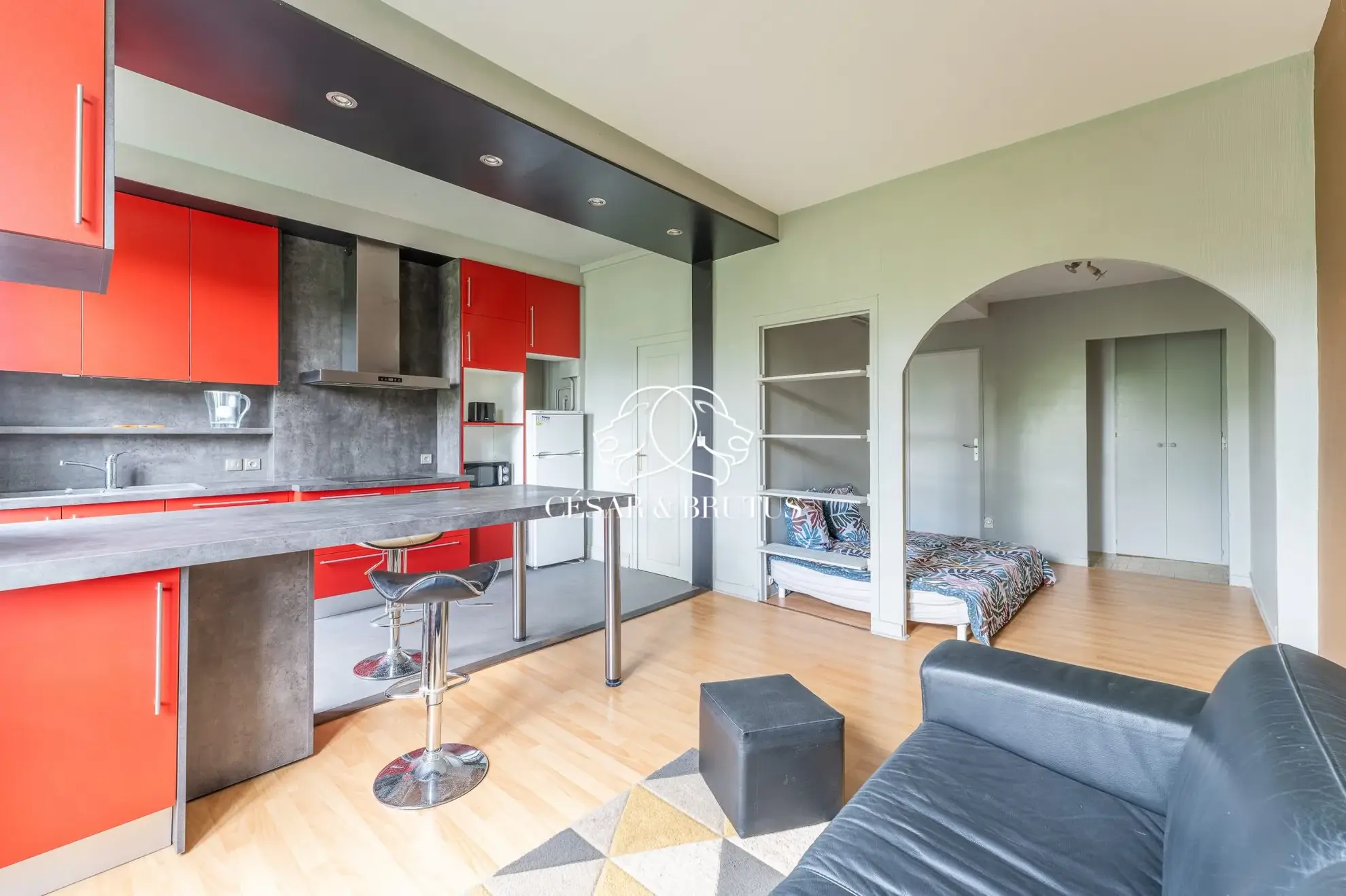 Appartement T1 lumineux de 35 m² à Lyon près de Perrache et Confluence