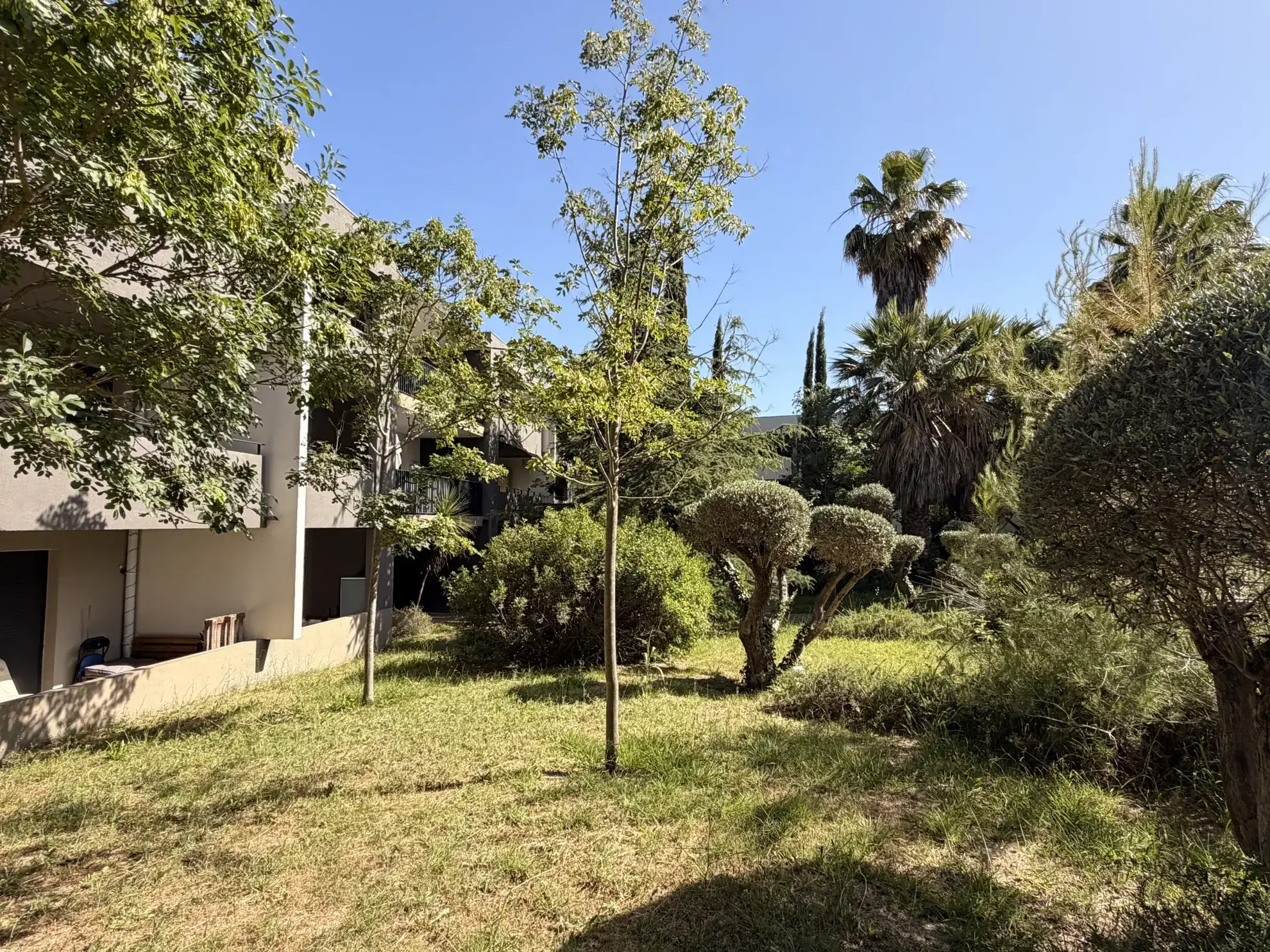 A vendre appartement 2 pièces à Montpellier, idéalement situé au centre-ville avec terrasse et parking en sous-sol