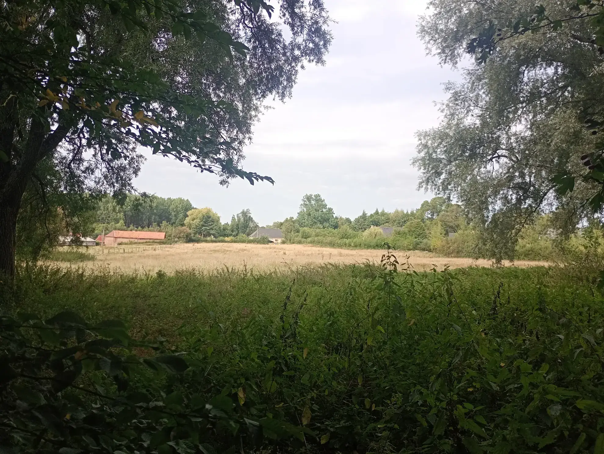 Terrain naturel de 13 170 m² à Hézecques pour projets agricoles ou de détente