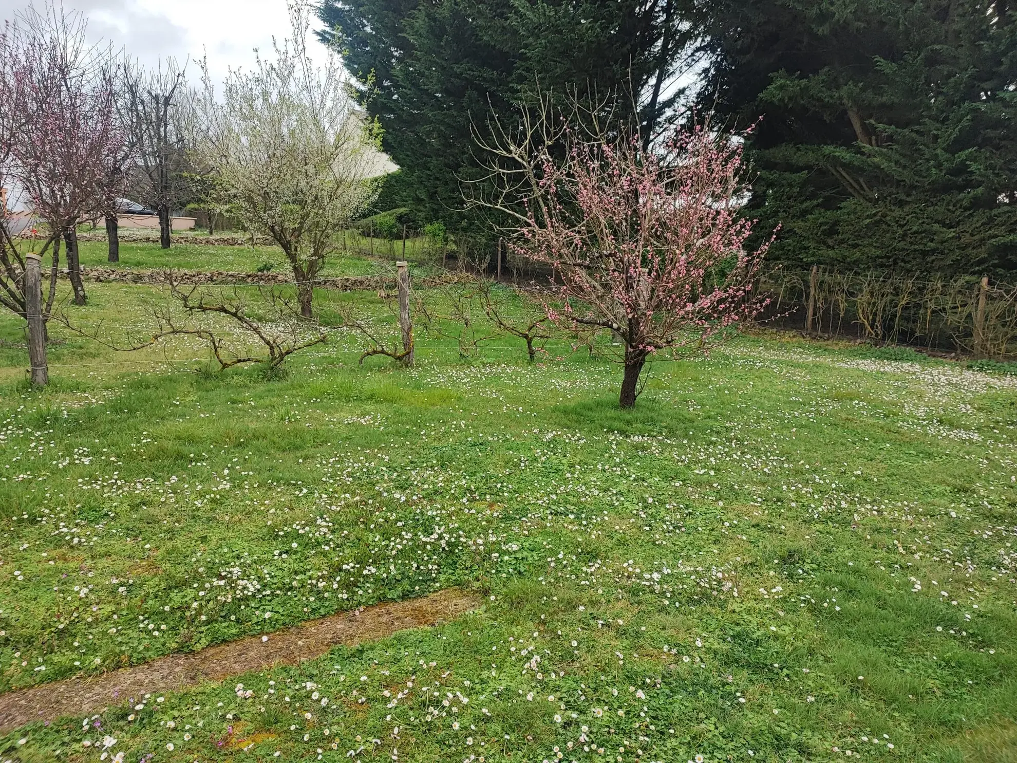 Terrain constructible de 634m² à vendre à Azay-le-Rideau, proche des réseaux