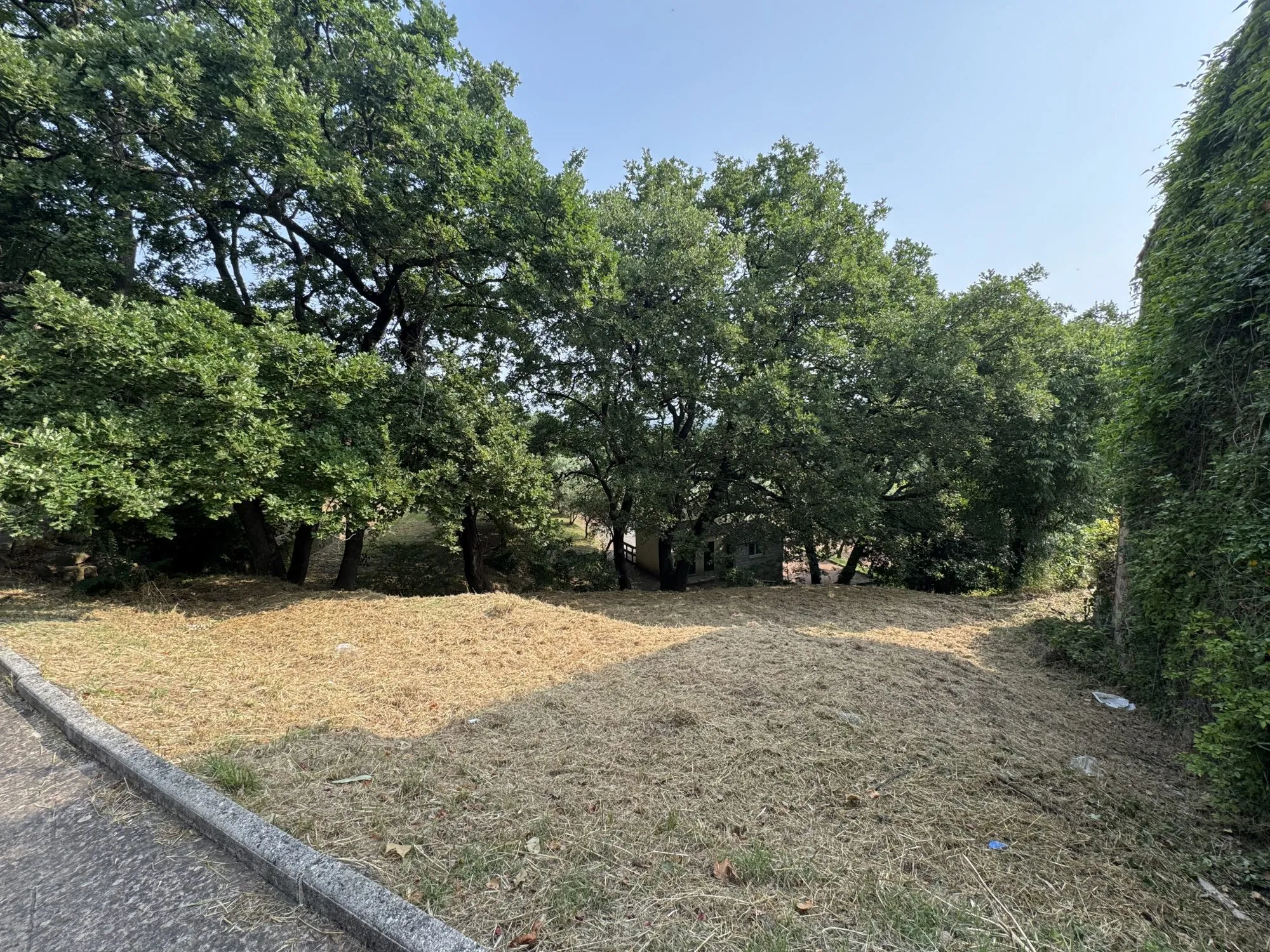 Terrain constructible de 350 m² aux Mayons – Opportunité d'investissement dans le Centre-Var