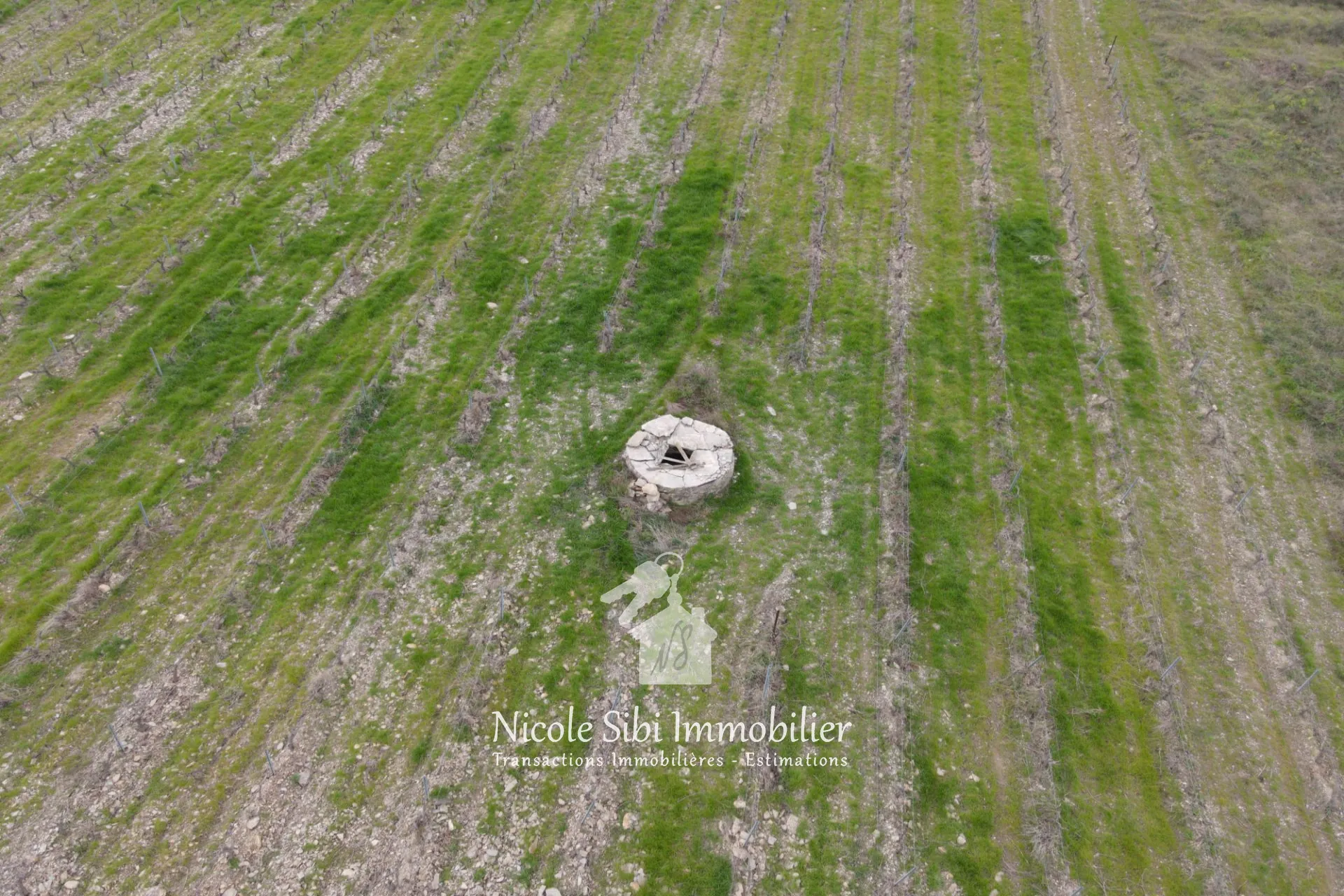 Vente de terrain agricole avec vignoble en pleine production à Montner 