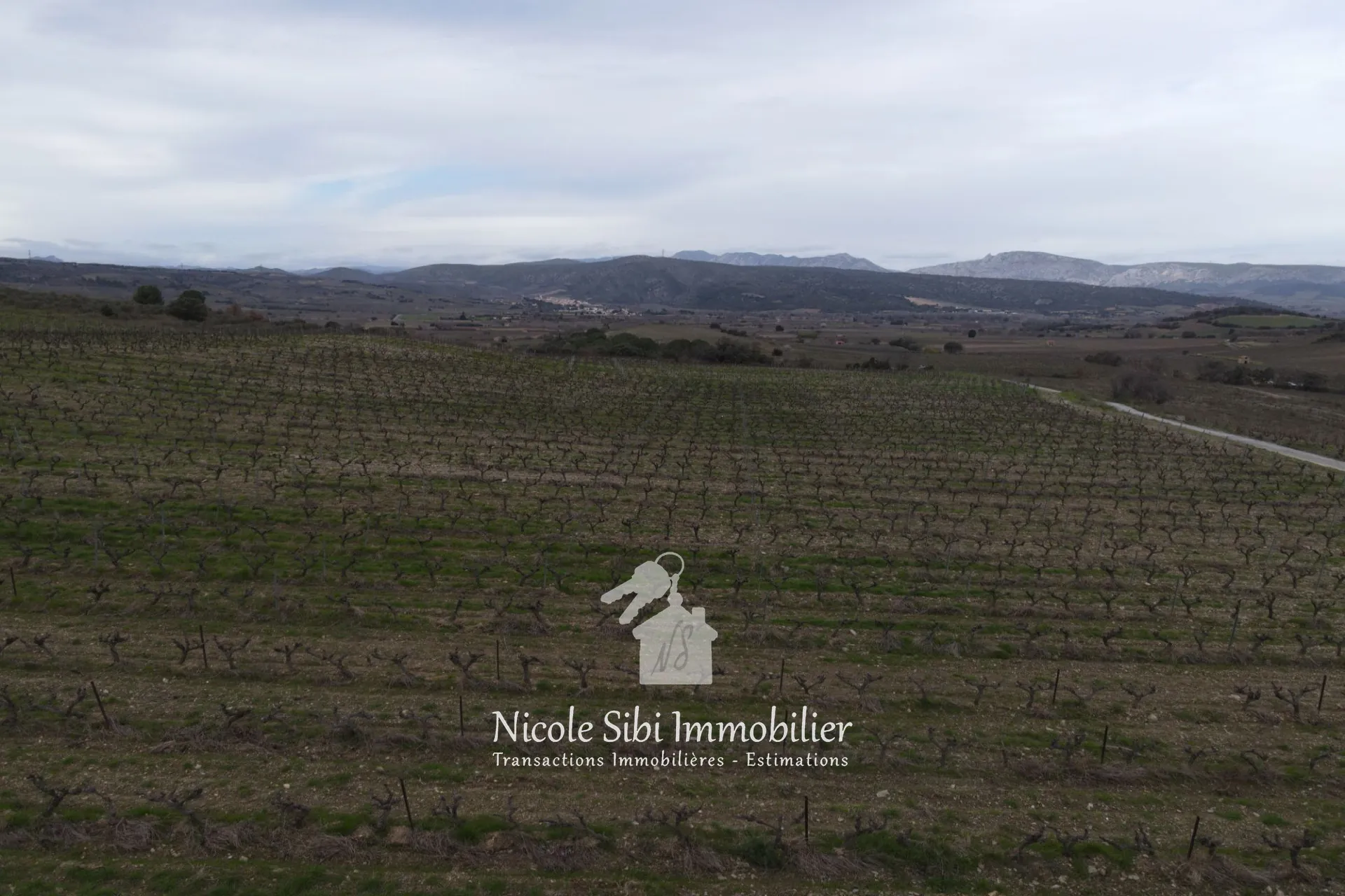 Vente de terrain agricole avec vignoble en pleine production à Montner 