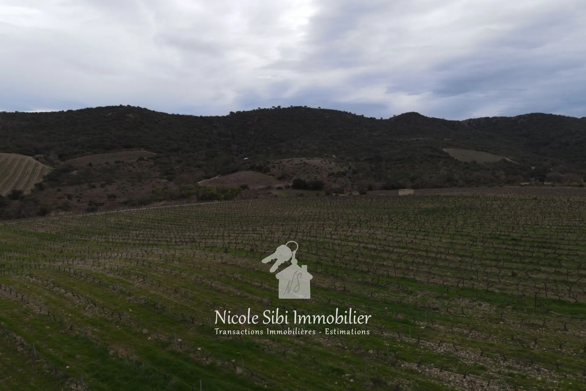 Vente de terrain agricole avec vignoble en pleine production à Montner 