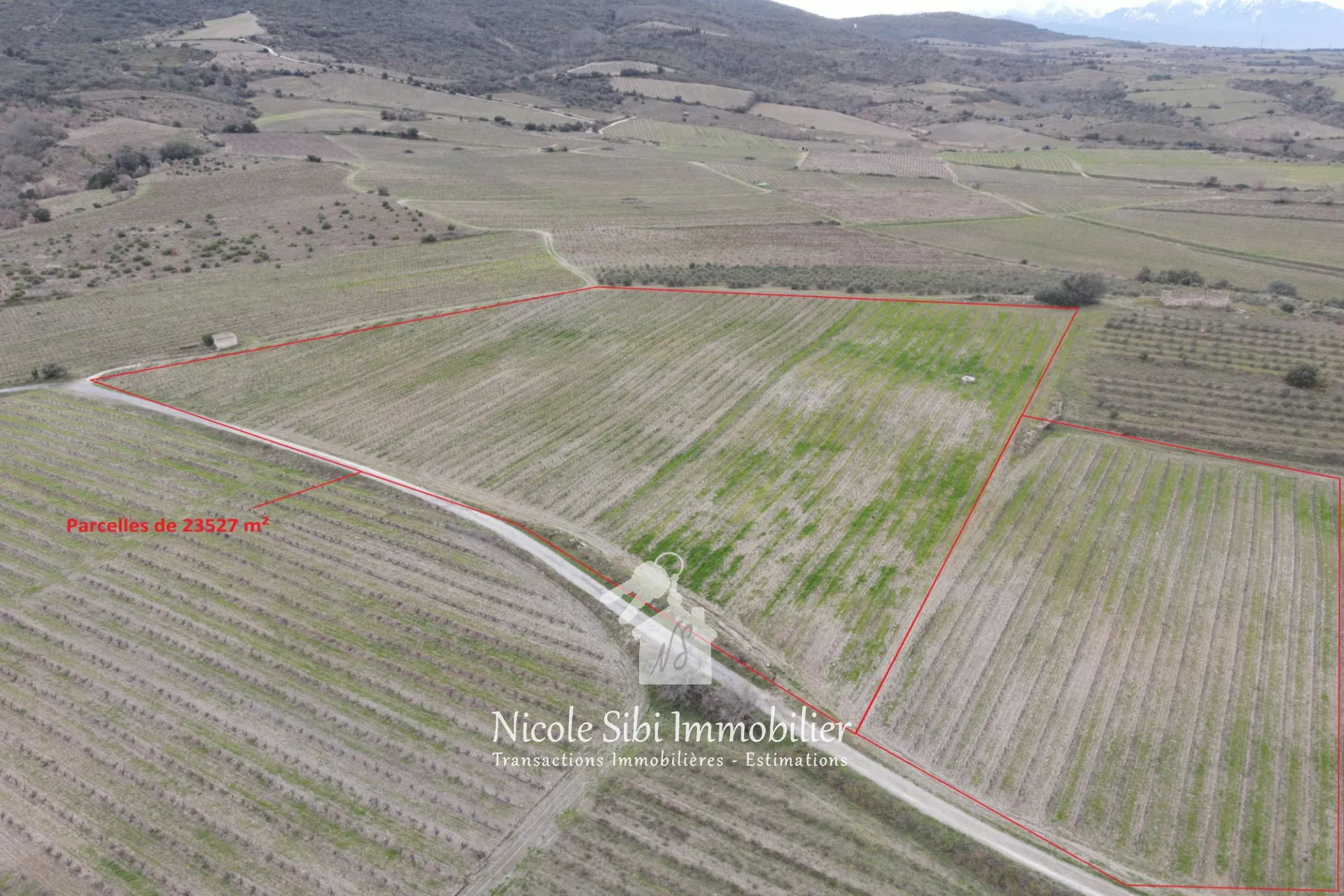 Vente de terrain agricole avec vignoble en pleine production à Montner 