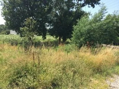 Terrain à construire à Les Peintures - Terrain viabilisé de 900 m² à vendre