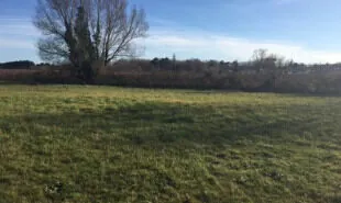 Terrain à bâtir viabilisé à Puisseguin - Prêt à construire