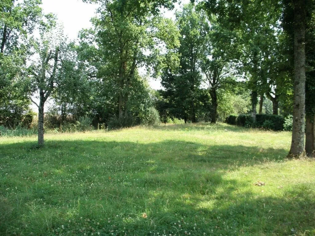 Terrain constructible à vendre à Sainte-Eulalie - Prêt à bâtir