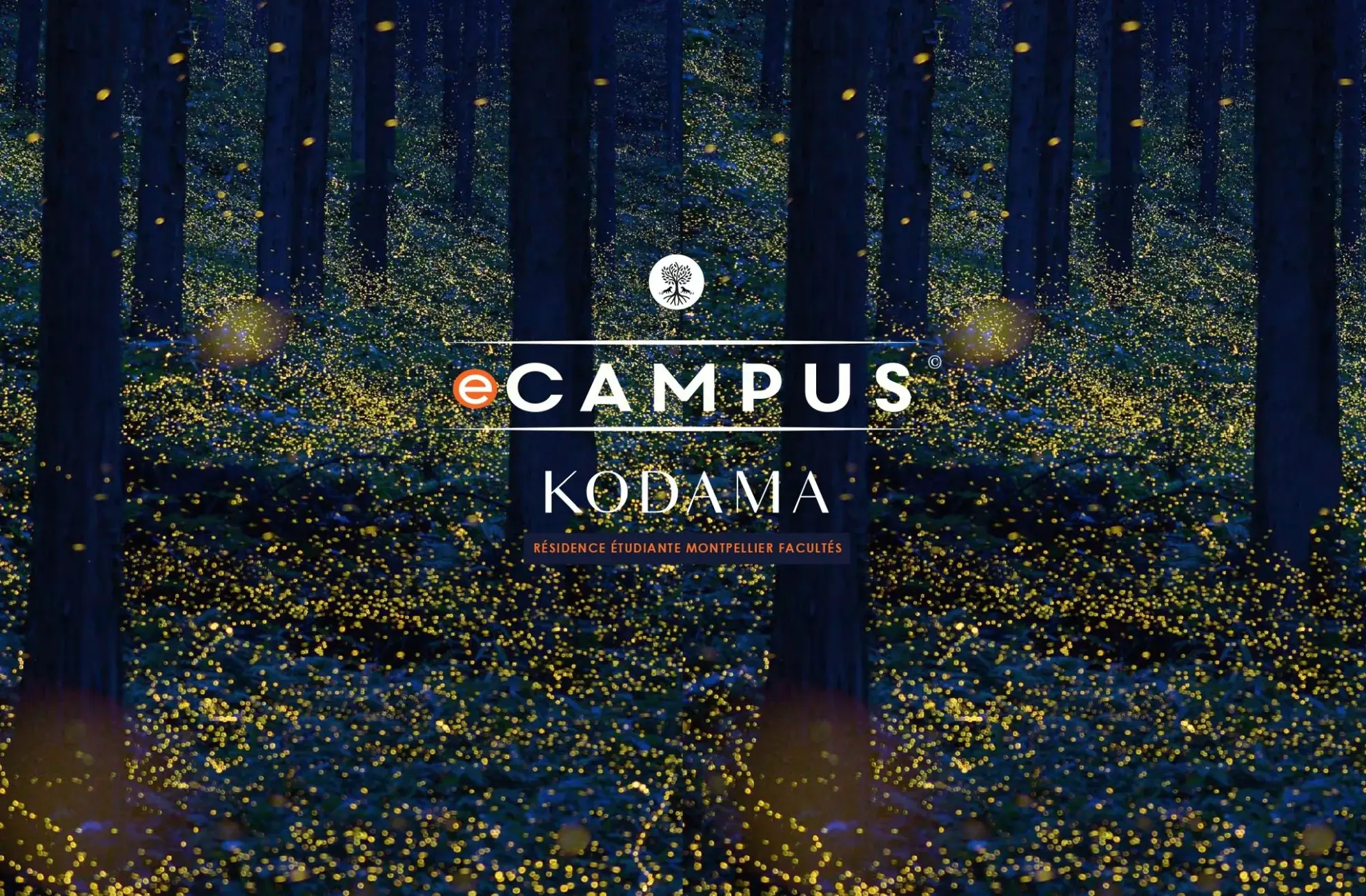 Studio neuf à Montpellier - Résidence étudiante eCampus Kodama - Livraison 2027 