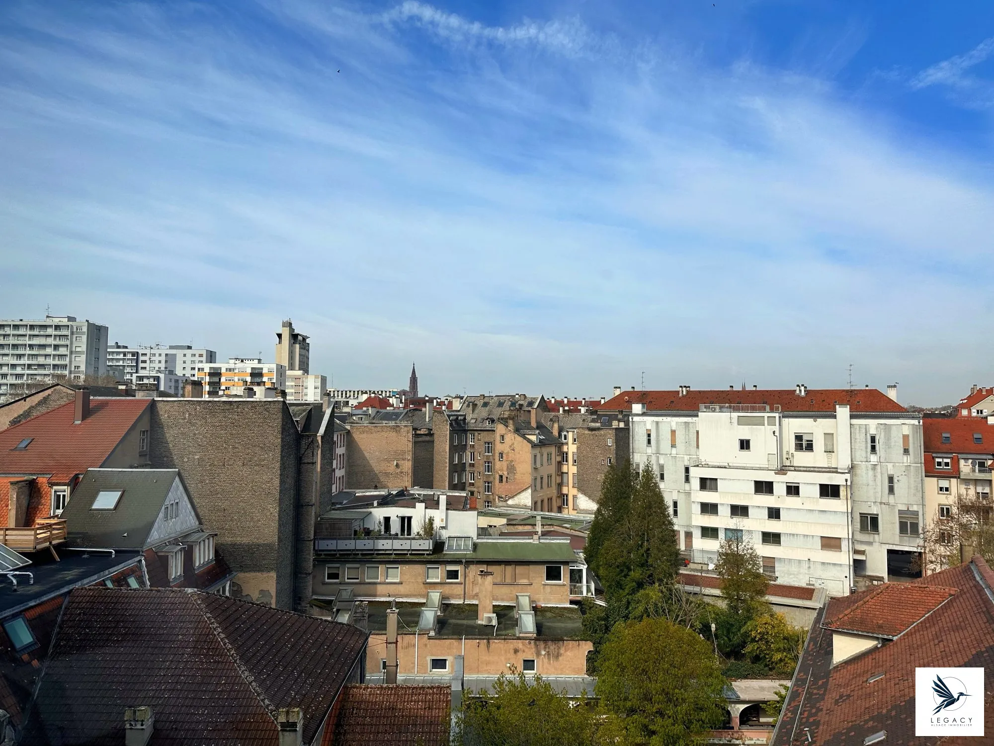 Studio à vendre à Strasbourg - Proche des facultés, avec cave et bail longue durée