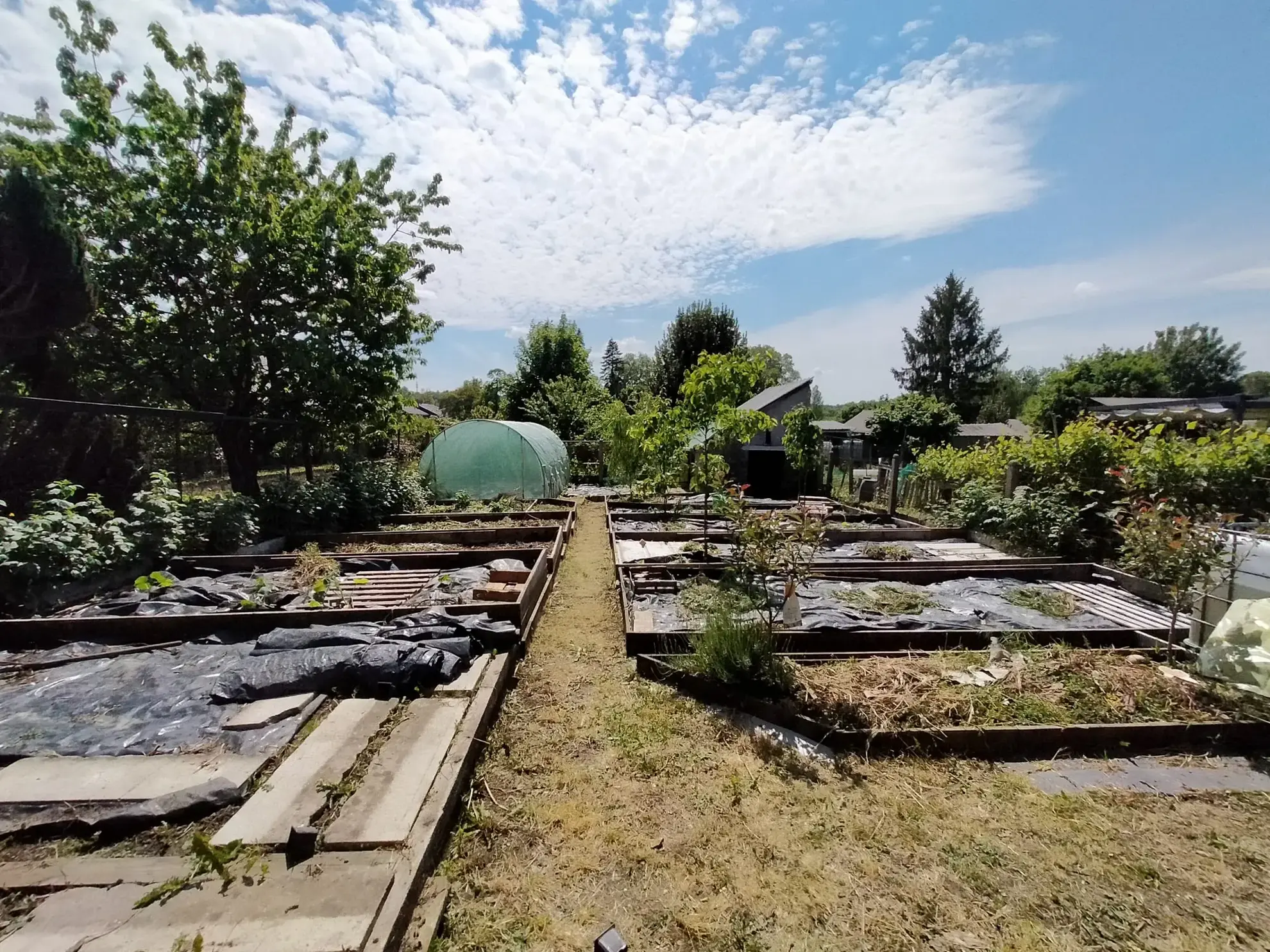 jardin permaculture Andouillé Jardin en permaculture de 239 m² à vendre à Andouillé, espace écologique et productif