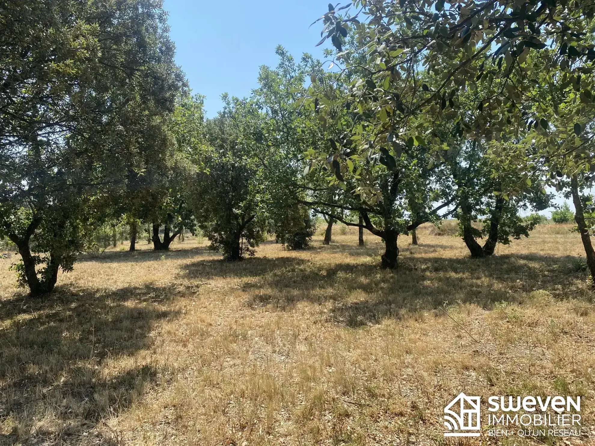 Terrain constructible de 1160 m² à Bagnoles, proche de Carcassonne