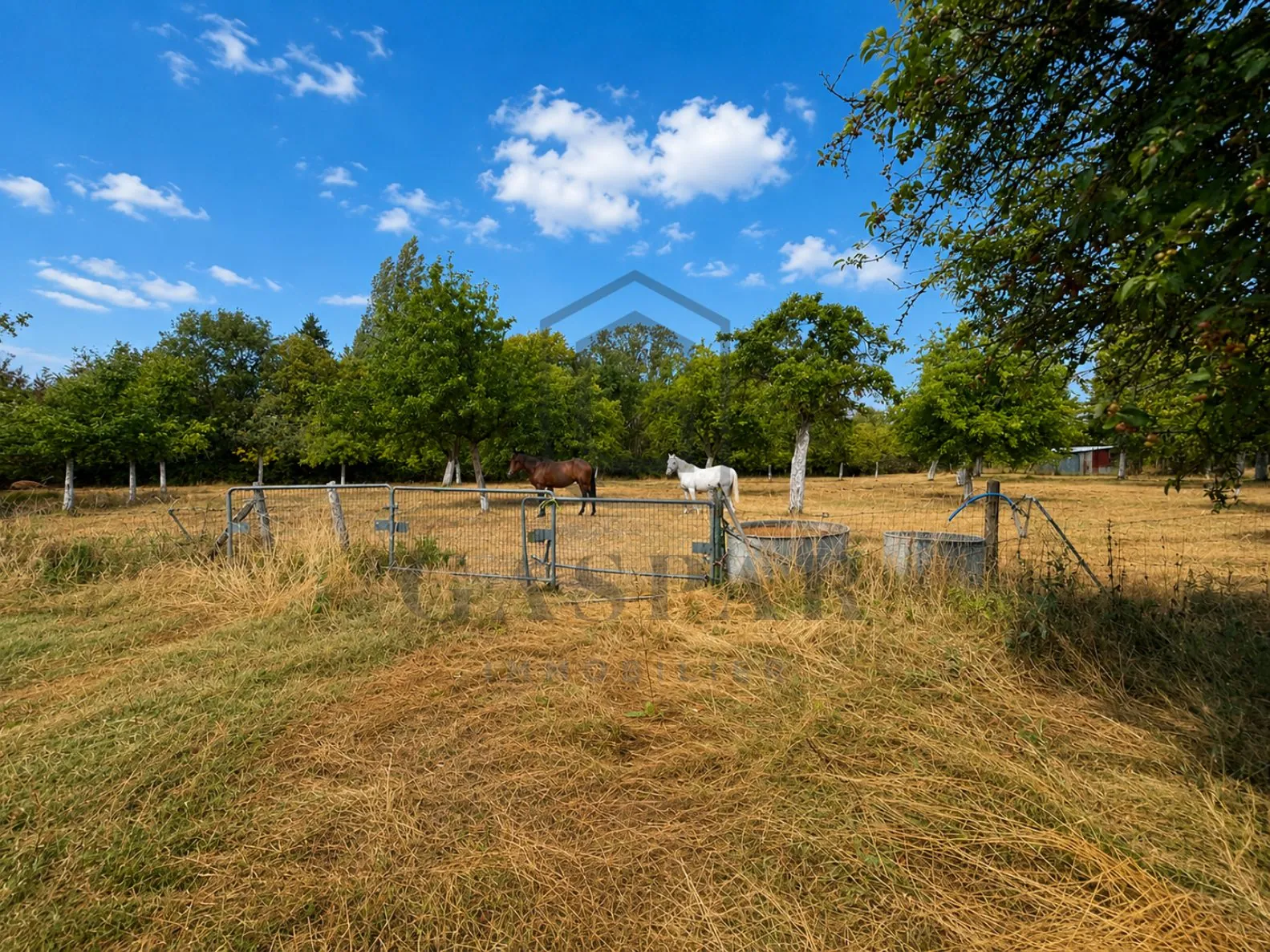 Maison plein de charme à rénover avec grand jardin à Mesnil-en-Ouche 