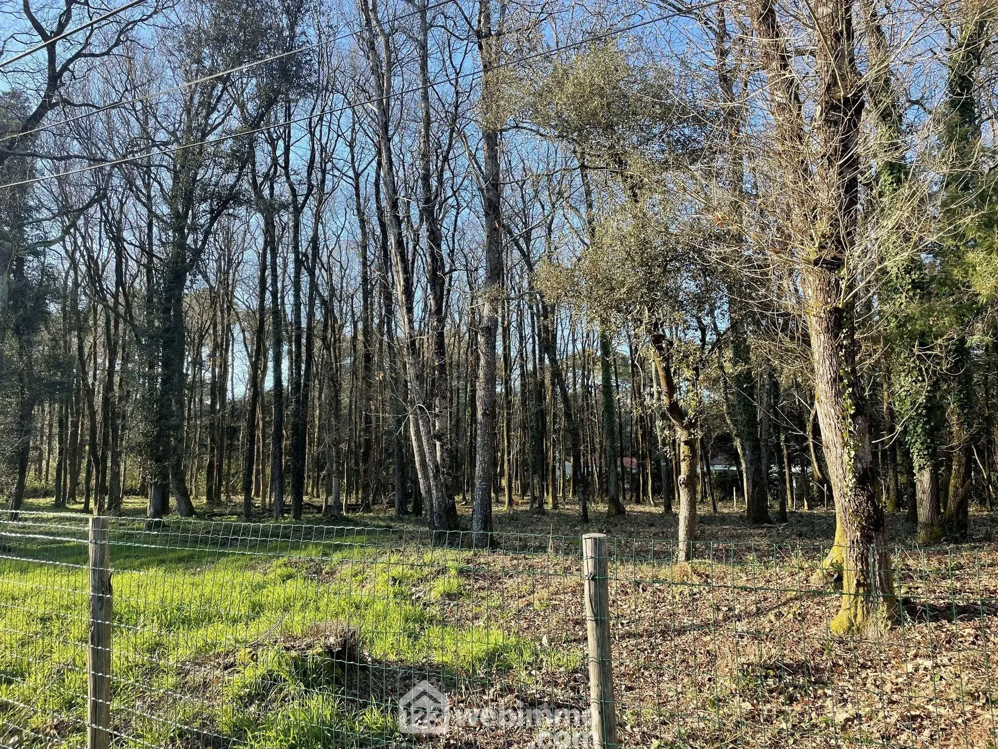 Terrain à bâtir de 676m² à Jard-sur-Mer, emplacement rare en pinède 