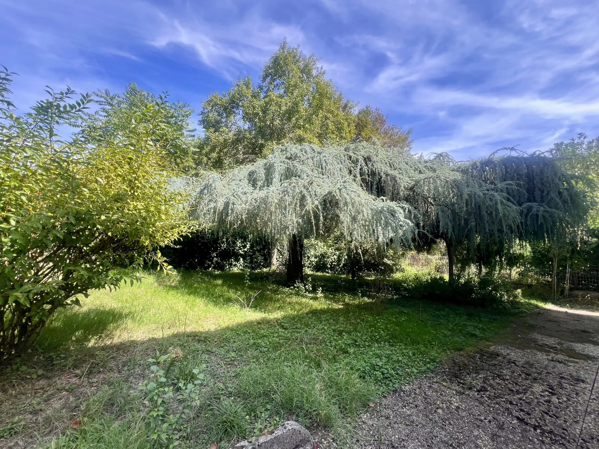 Maison de 115 m² à Champcevinel avec potentiel d'aménagement et jardin arboré