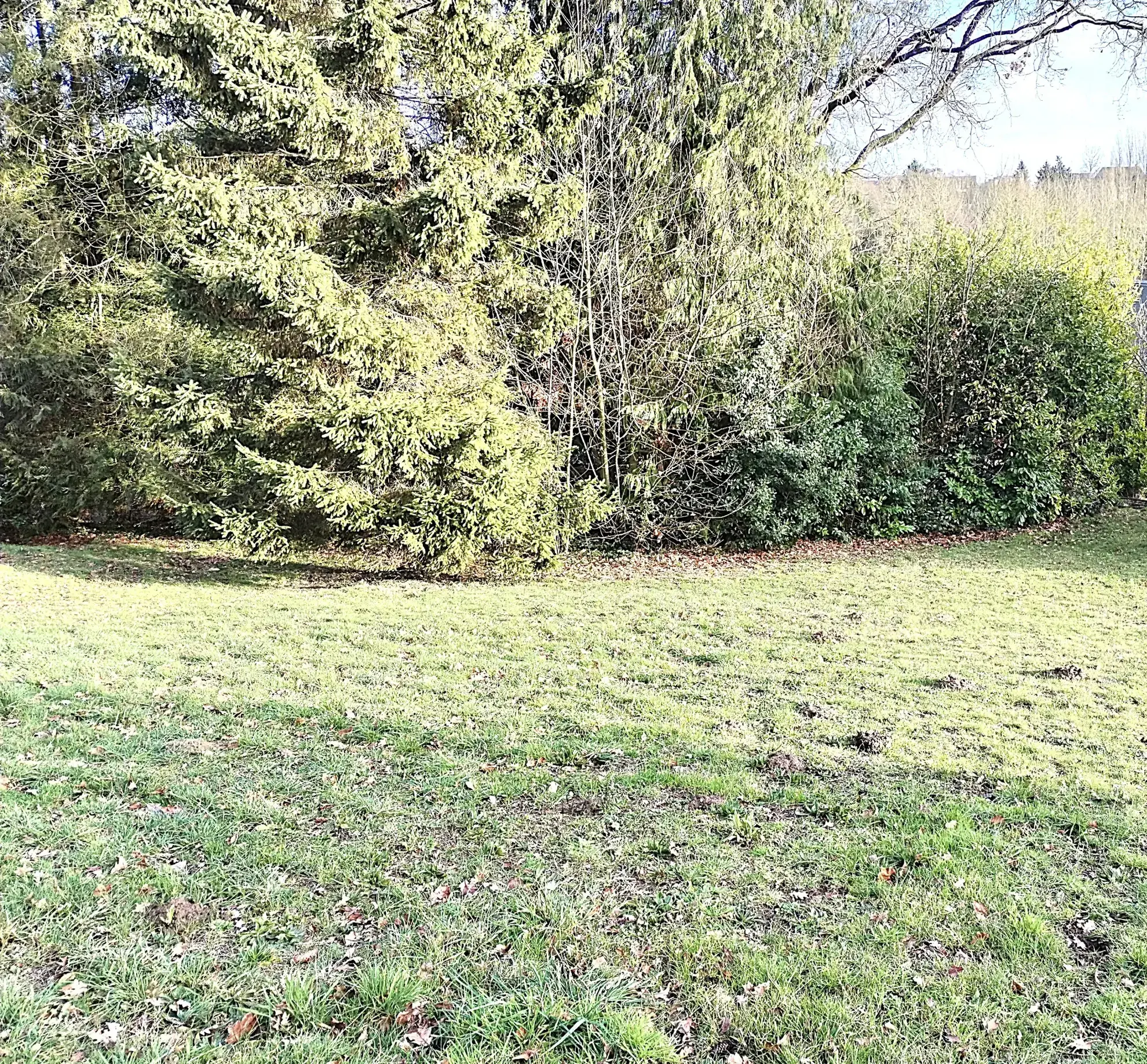 Terrain constructible de 500 m² à Lecousse, exposé sud-est, prêt à bâtir