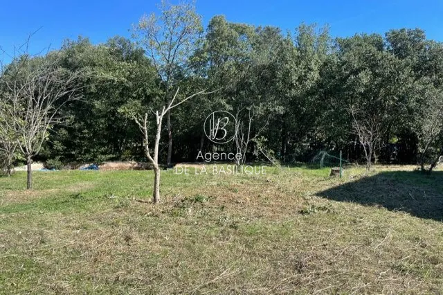 Terrain constructible de 2600 m² à Saint Maximin la Sainte Baume, calme et ensoleillé