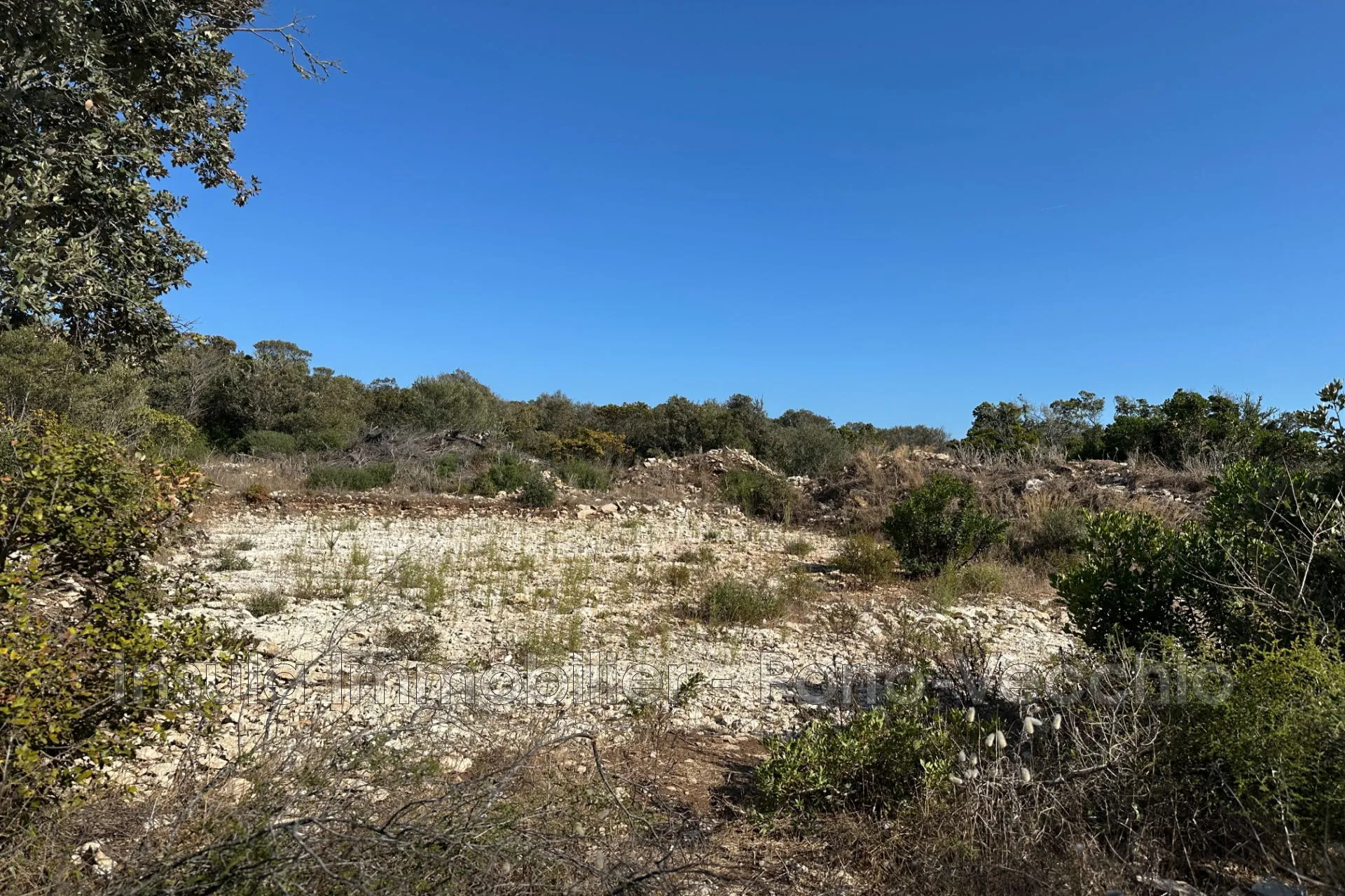 Terrain constructible à vendre à Bonifacio - Musella - 1427 m²