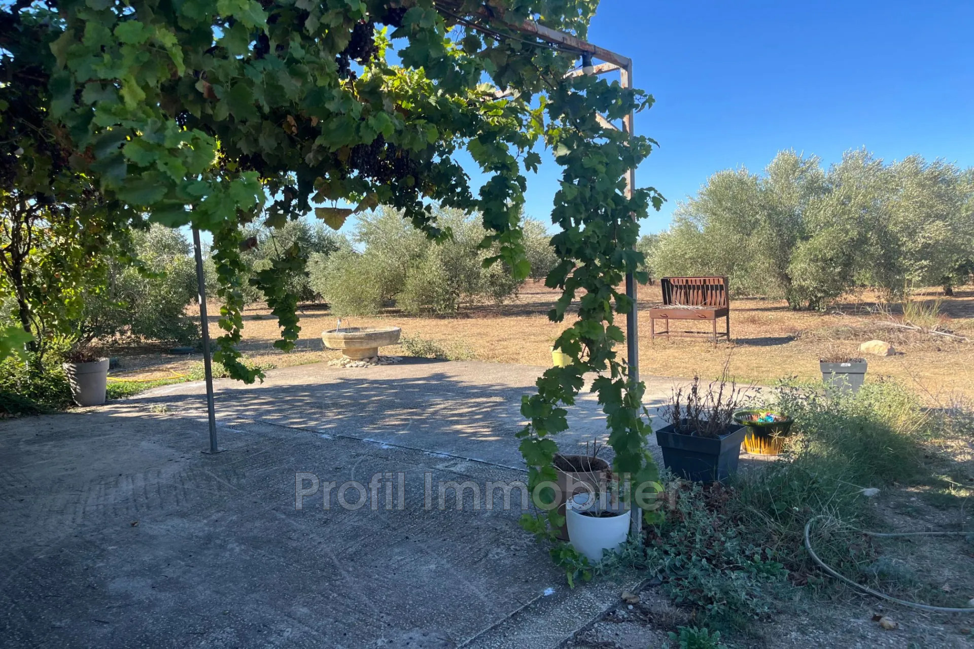 Terrain non constructible de 15 000 m² à Marsillargues, idéal pour amateurs de nature 
