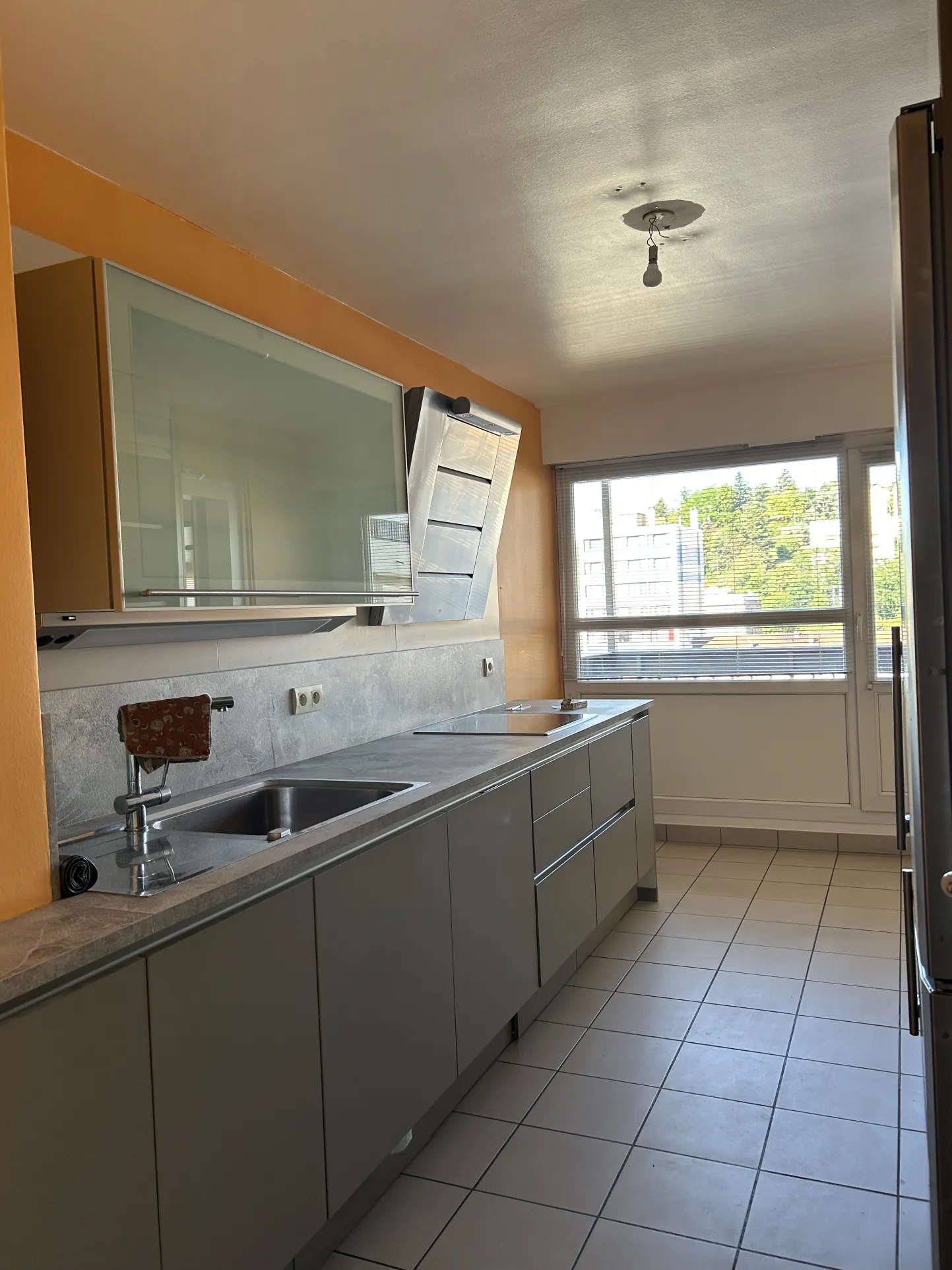 Appartement traversant de 161 m² à Saint-Étienne avec grande luminosité