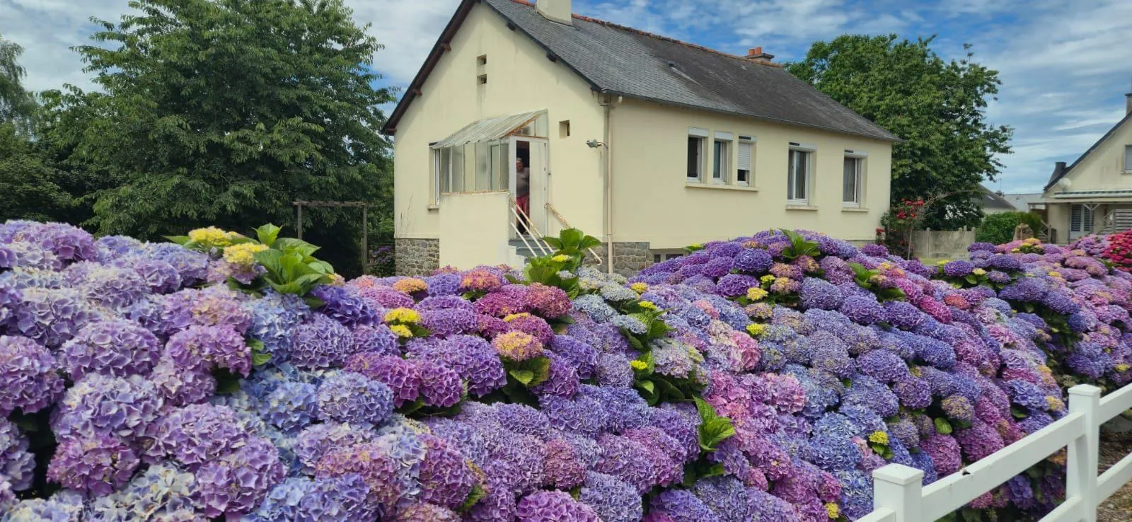Maison à vendre à Plemet avec grand terrain et garage en Bretagne